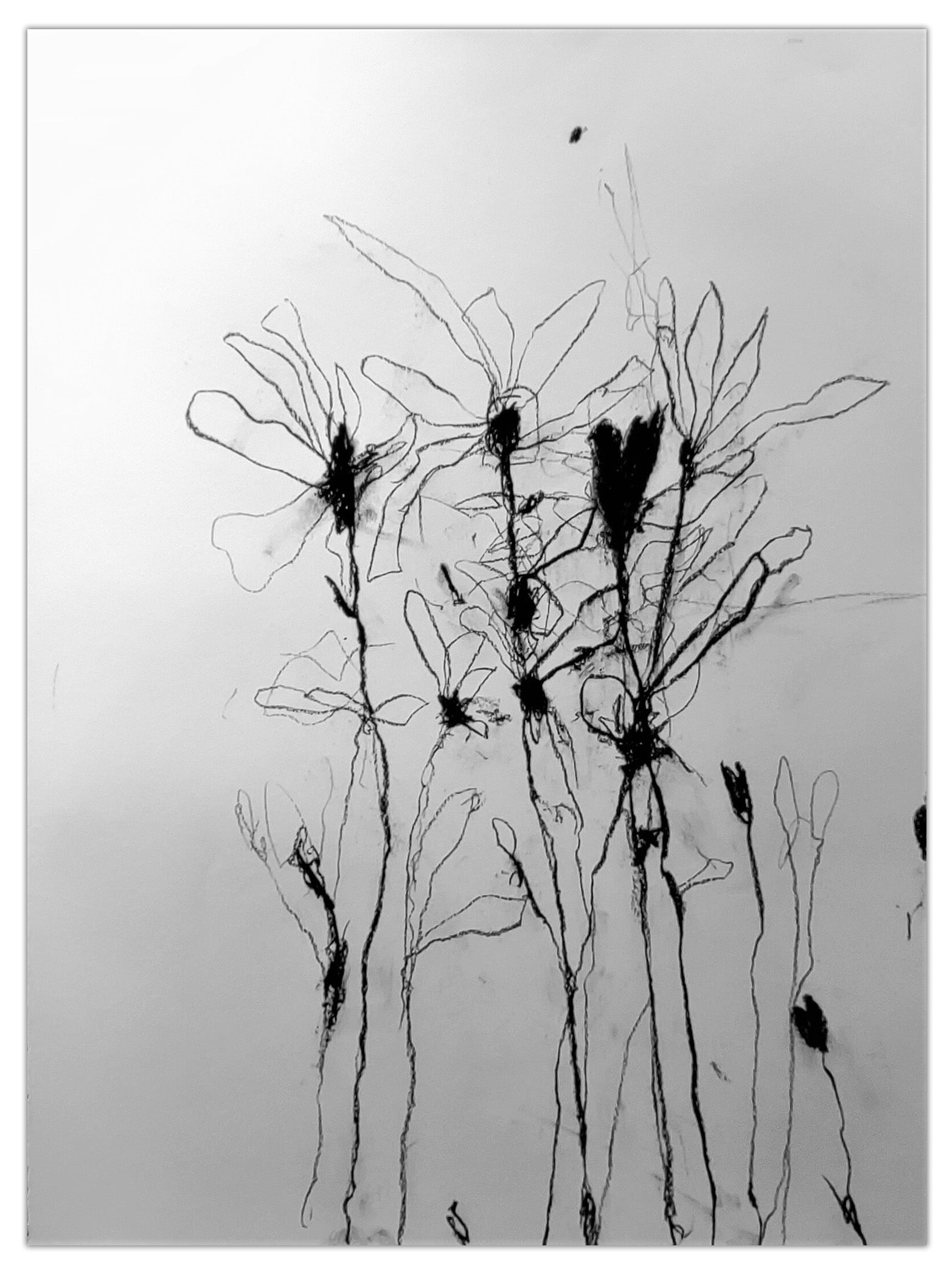 In the weeds ink bloom #1 by Robert Baribeau, 2023