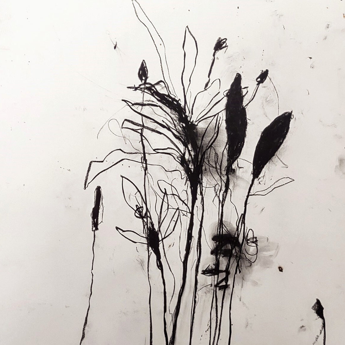 Artwork by Robert Baribeau, In the weeds ink bloom #6, Made of Charcoal & Oil stick on paper 