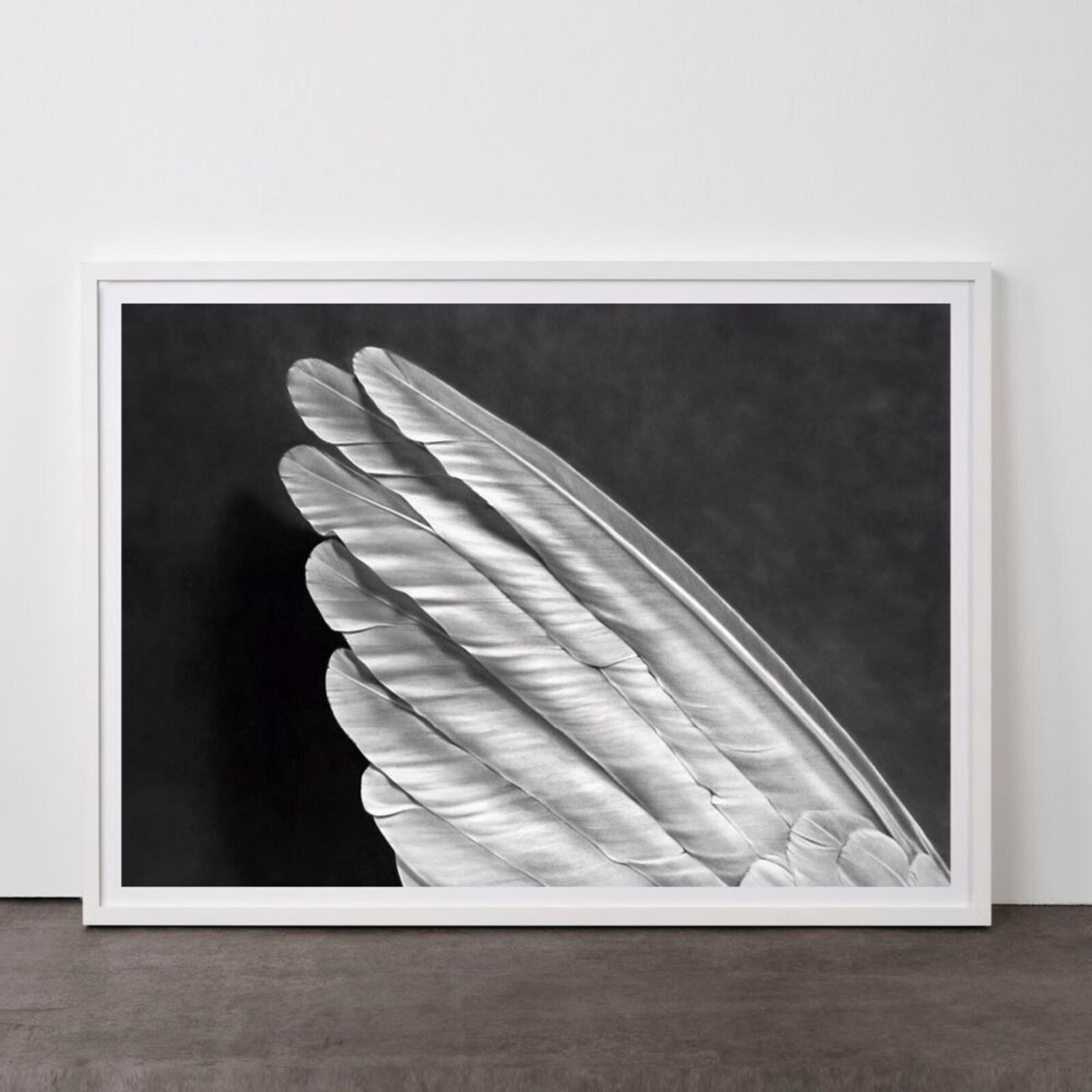 Angel´s Wing (Small Version) by Robert Longo, 2013