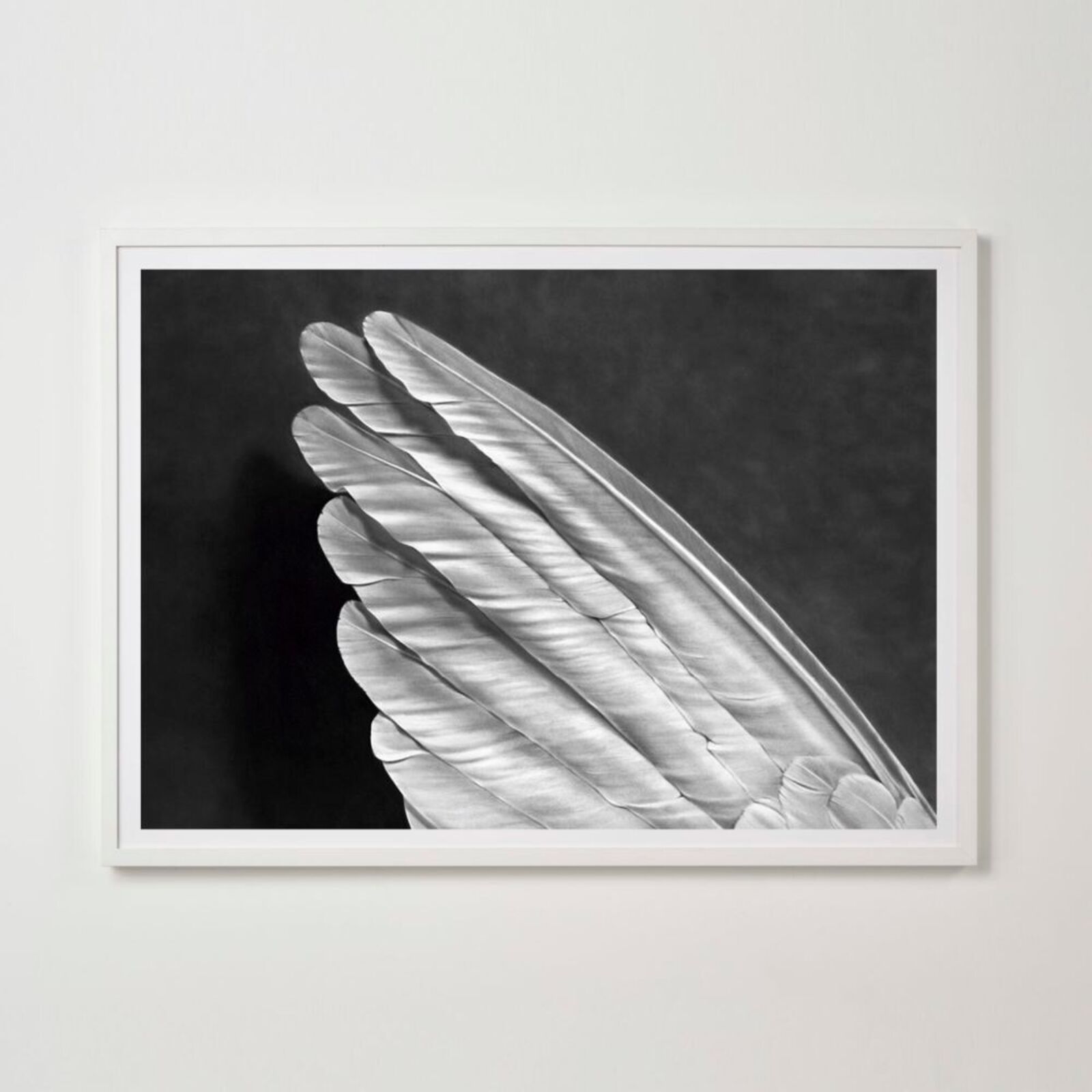 Artwork by Robert Longo, Angel´s Wing (Small Version), Made of Pigment Print 