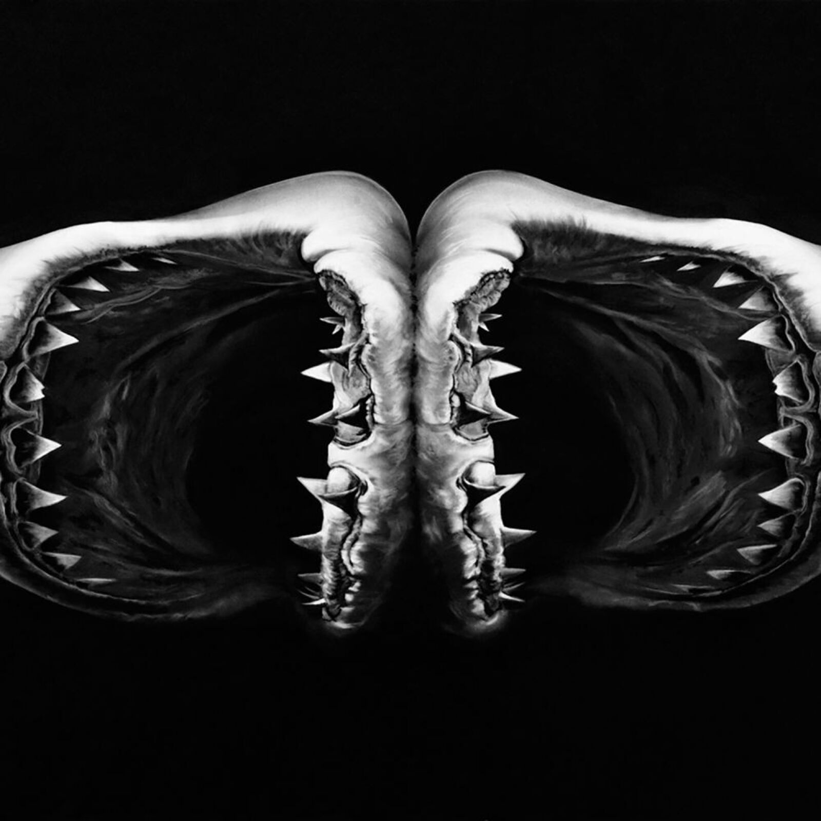 Artwork by Robert Longo, Double Shark, Made of Pigment Print 