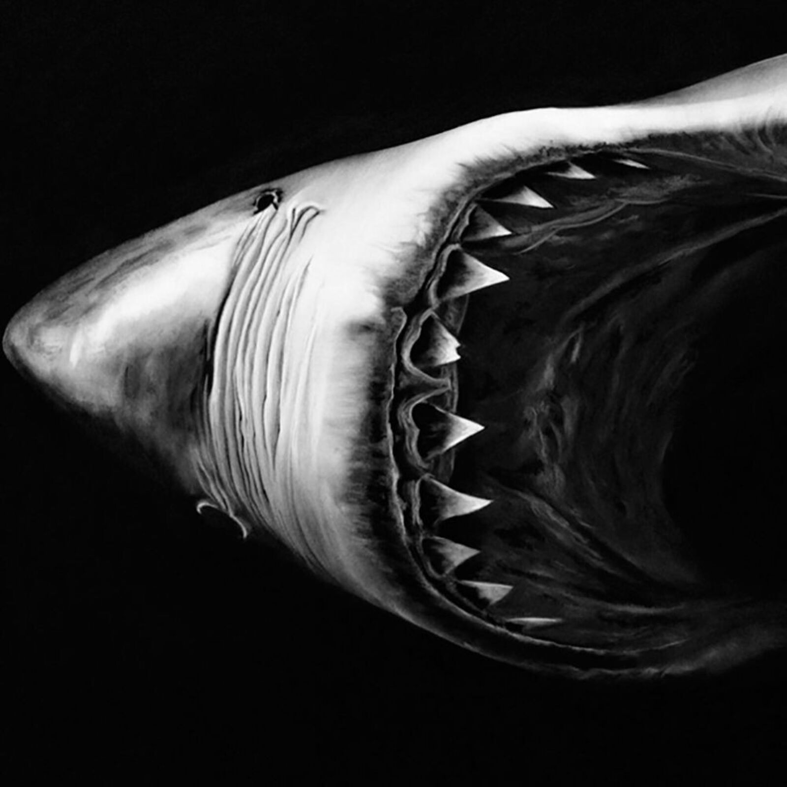 Artwork by Robert Longo, Double Shark, Made of Pigment Print 