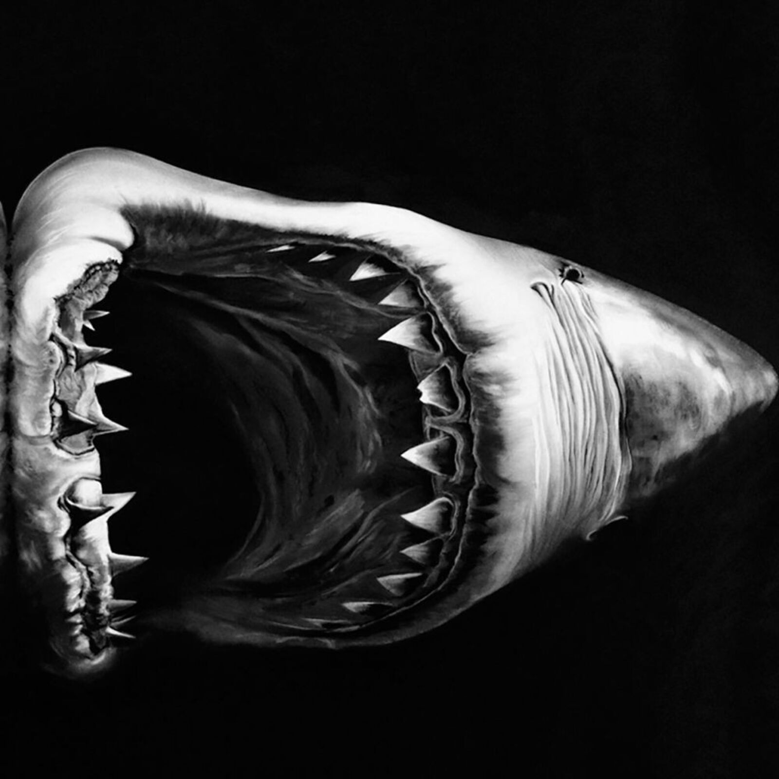Artwork by Robert Longo, Double Shark, Made of Pigment Print 