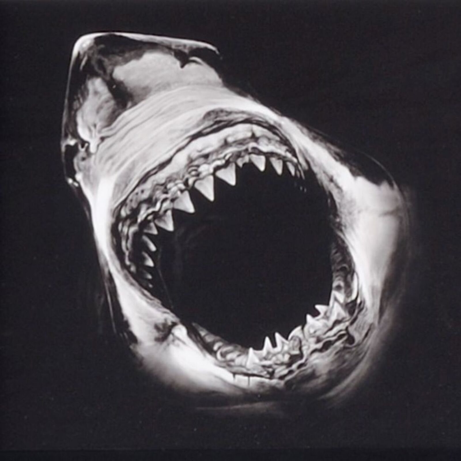 Artwork by Robert Longo, Essentials, Made of Pigment Print 