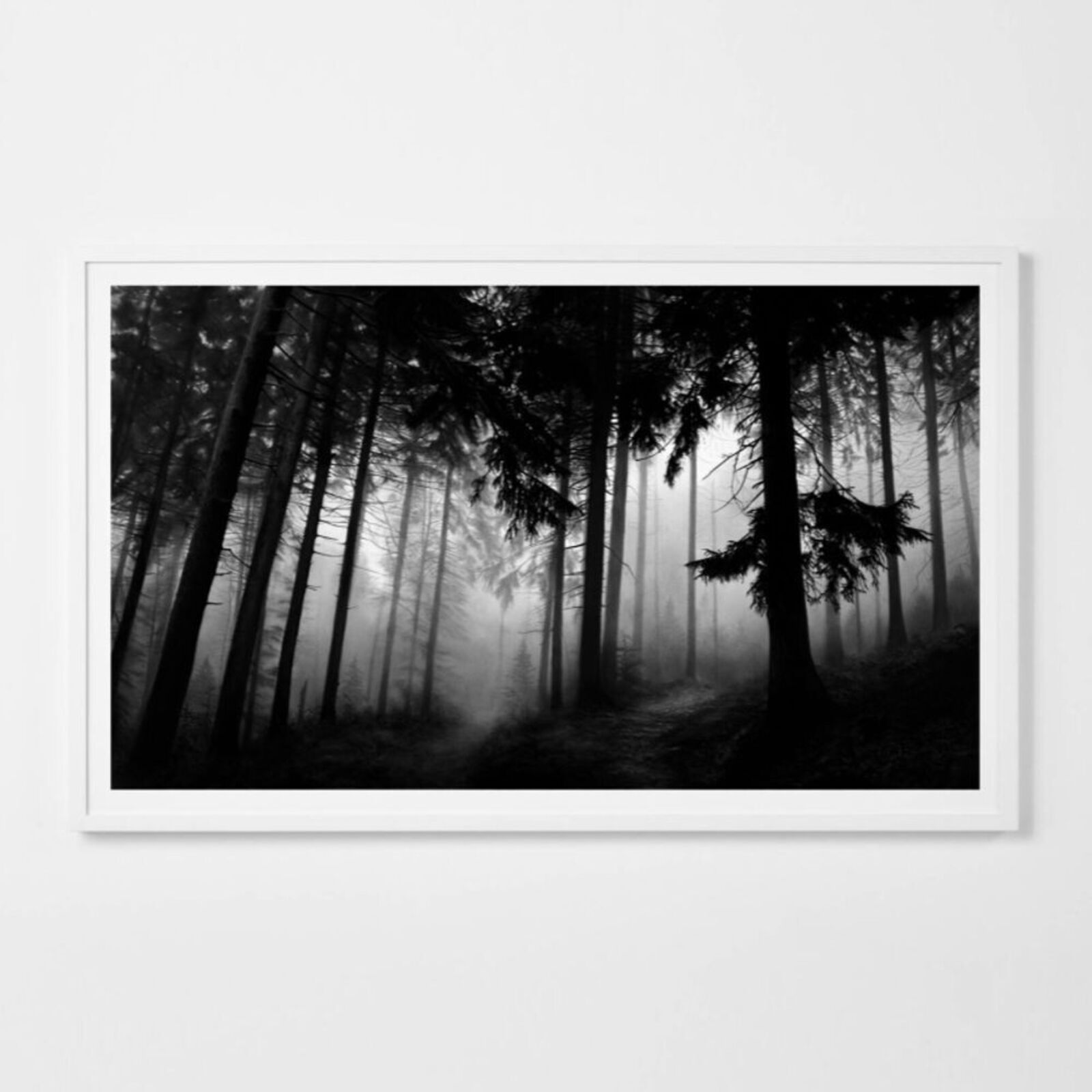 A black and white photo of a forest in the fog.