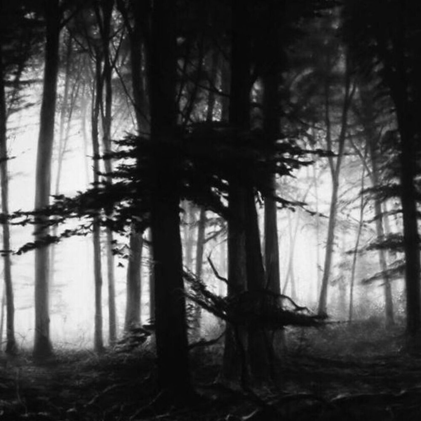 A black and white photo of a forest in the fog.