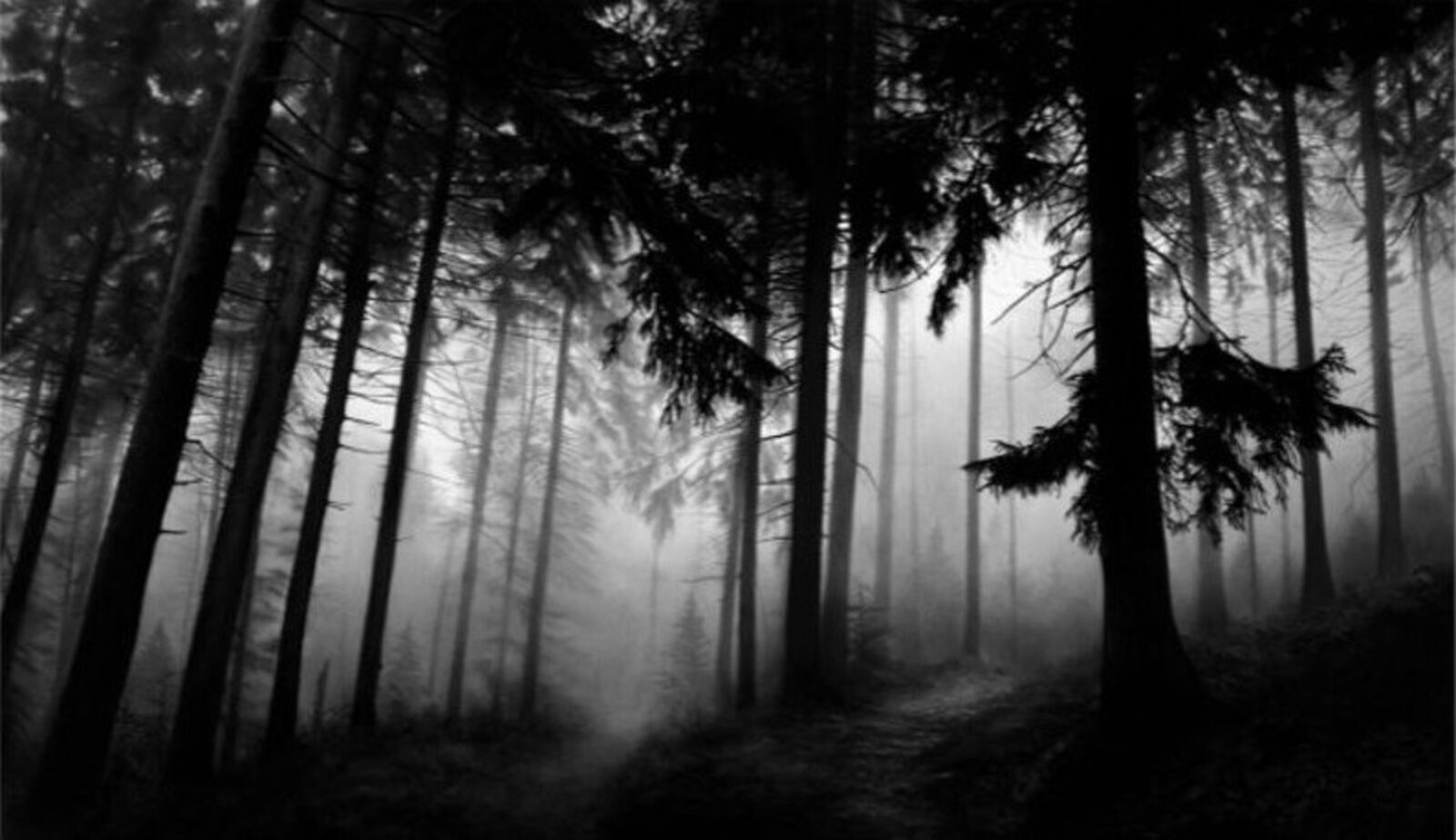 A black and white photo of a forest in the fog.