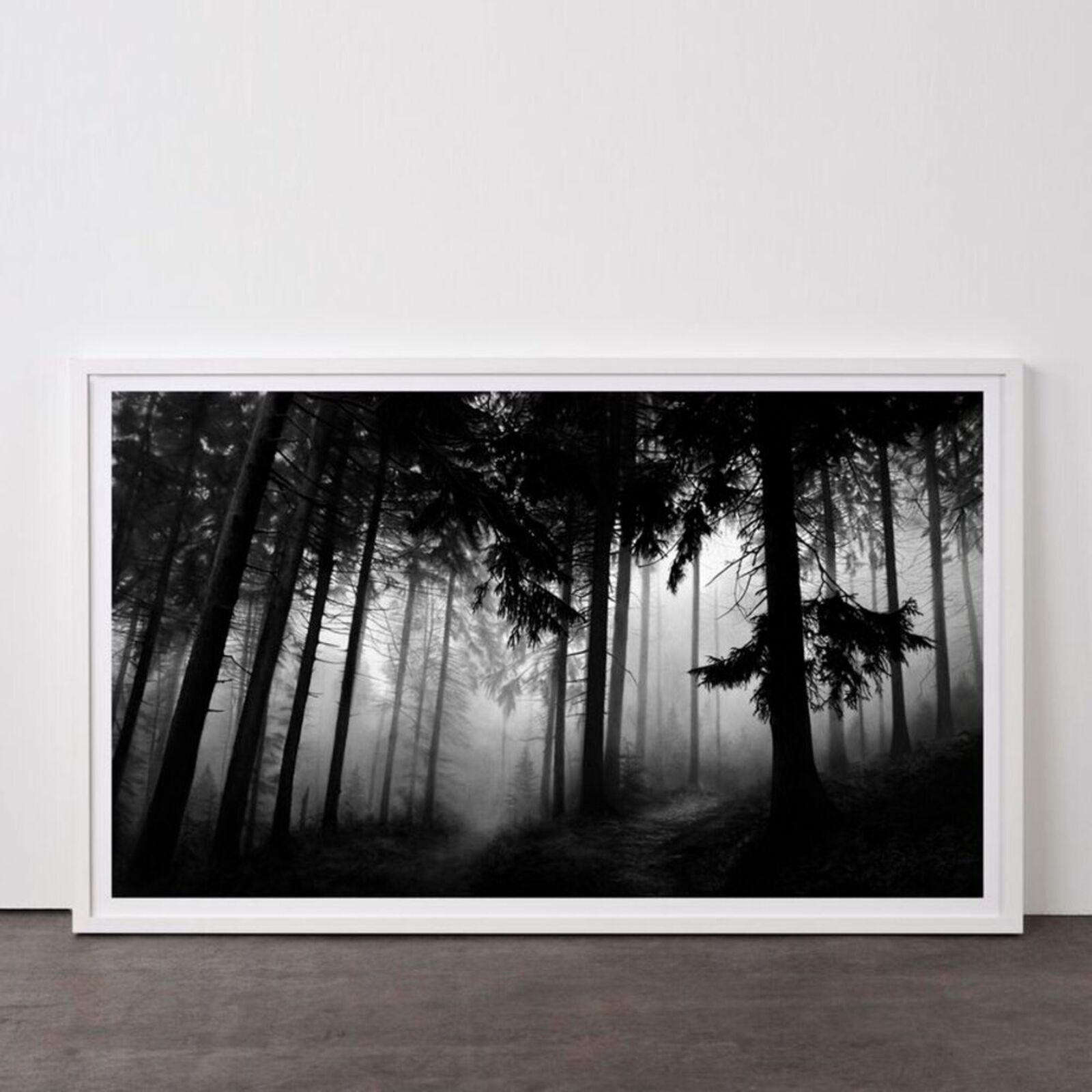 A black and white photo of a forest in the fog.
