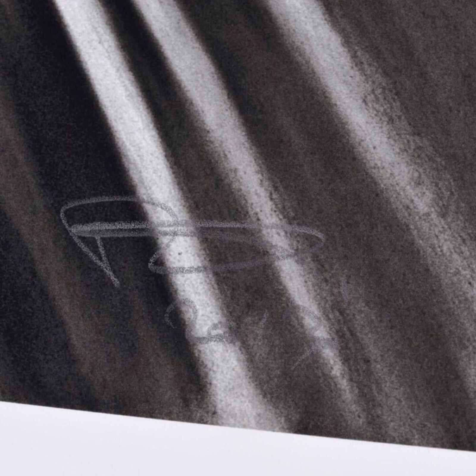 a black and white photo of a tiger's face