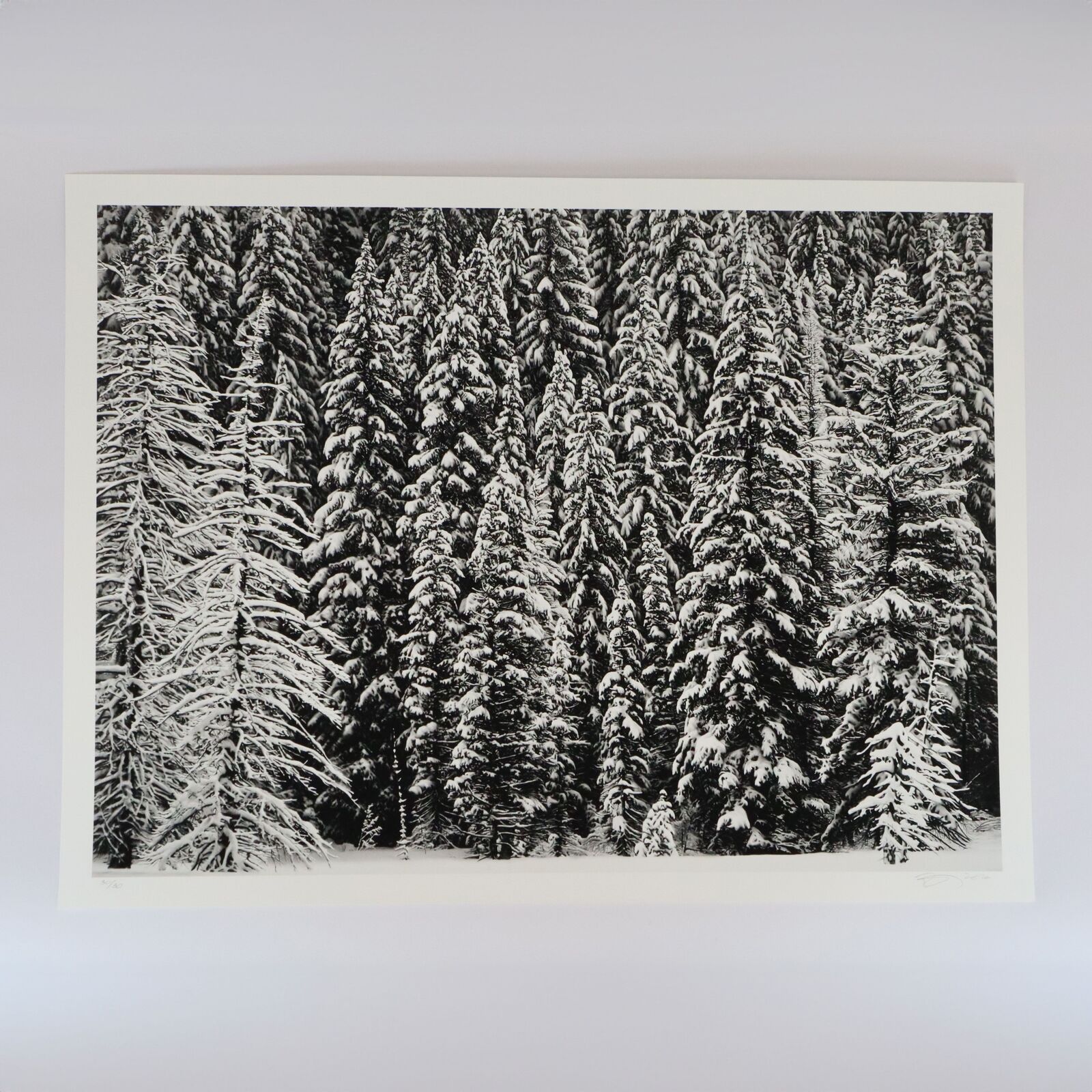 White Snow Trees of the Black Forest by Robert Longo, 2020