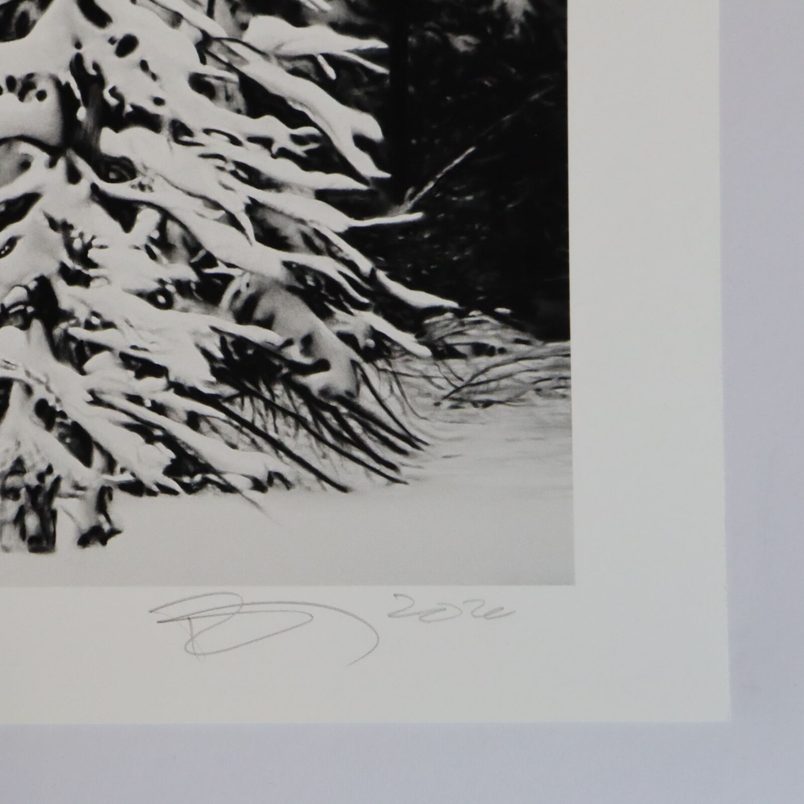 Artwork by Robert Longo, White Snow Trees of the Black Forest, Made of Archival pigment print 