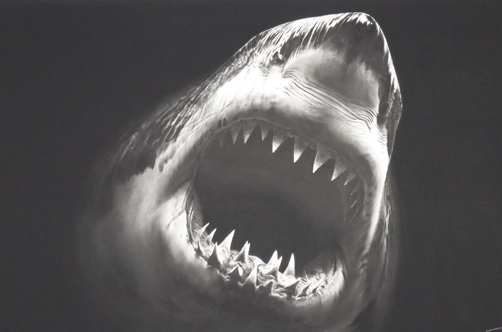 Bruce by Robert Longo, 2014