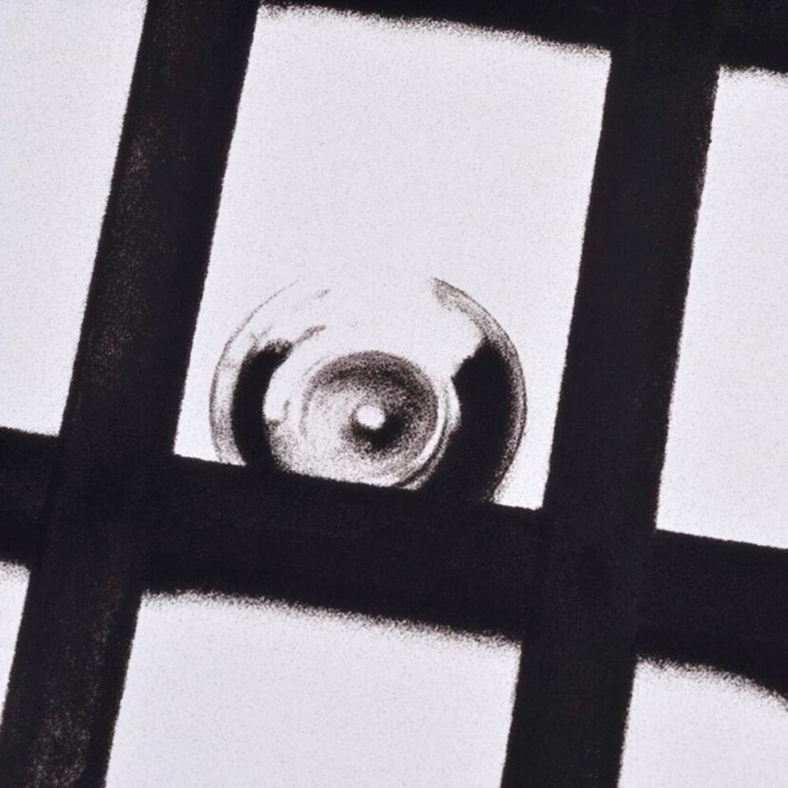 Interior Apartment Front Door with Bars (Freud Cycle, 1938)