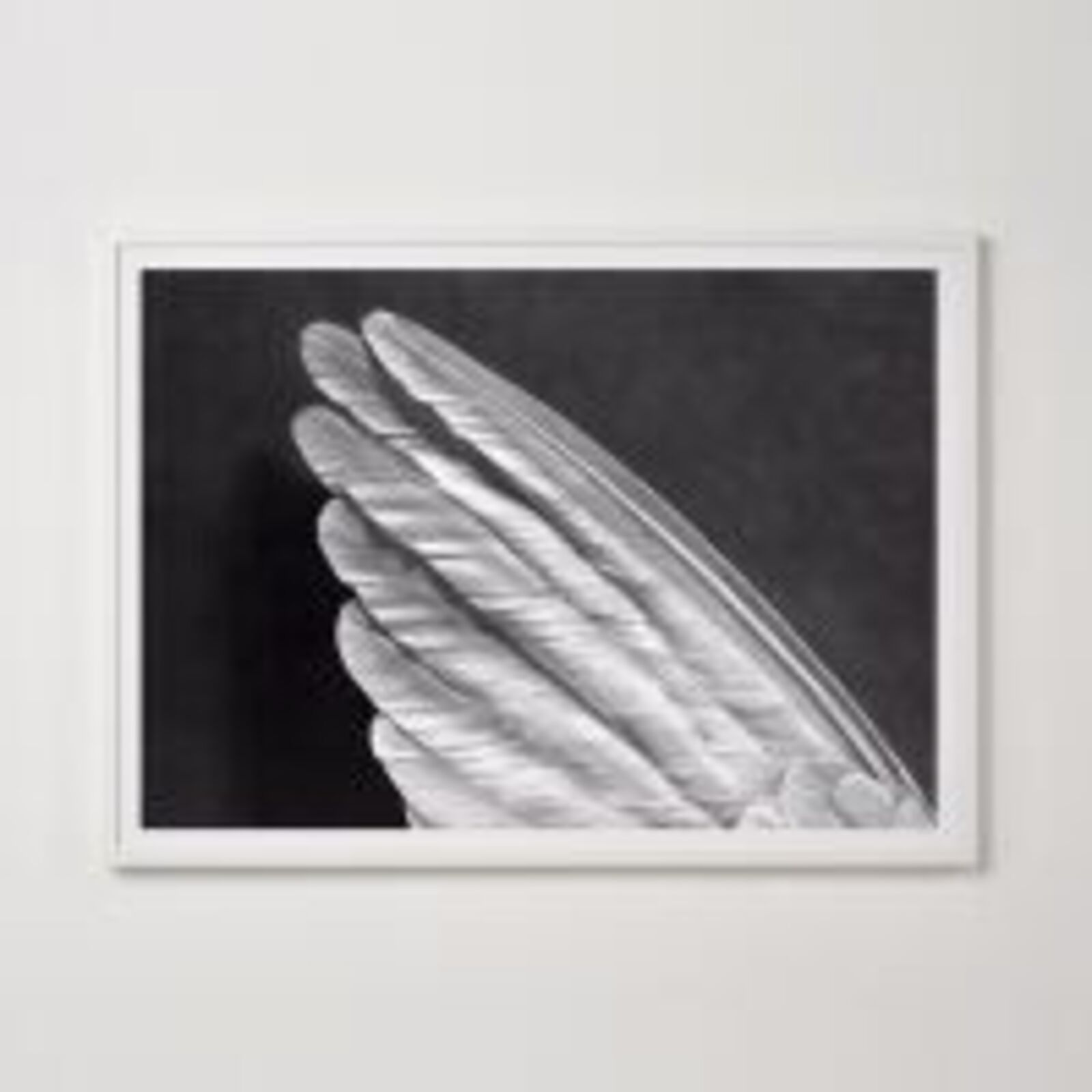 Angel´s Wing by Robert Longo, 2014