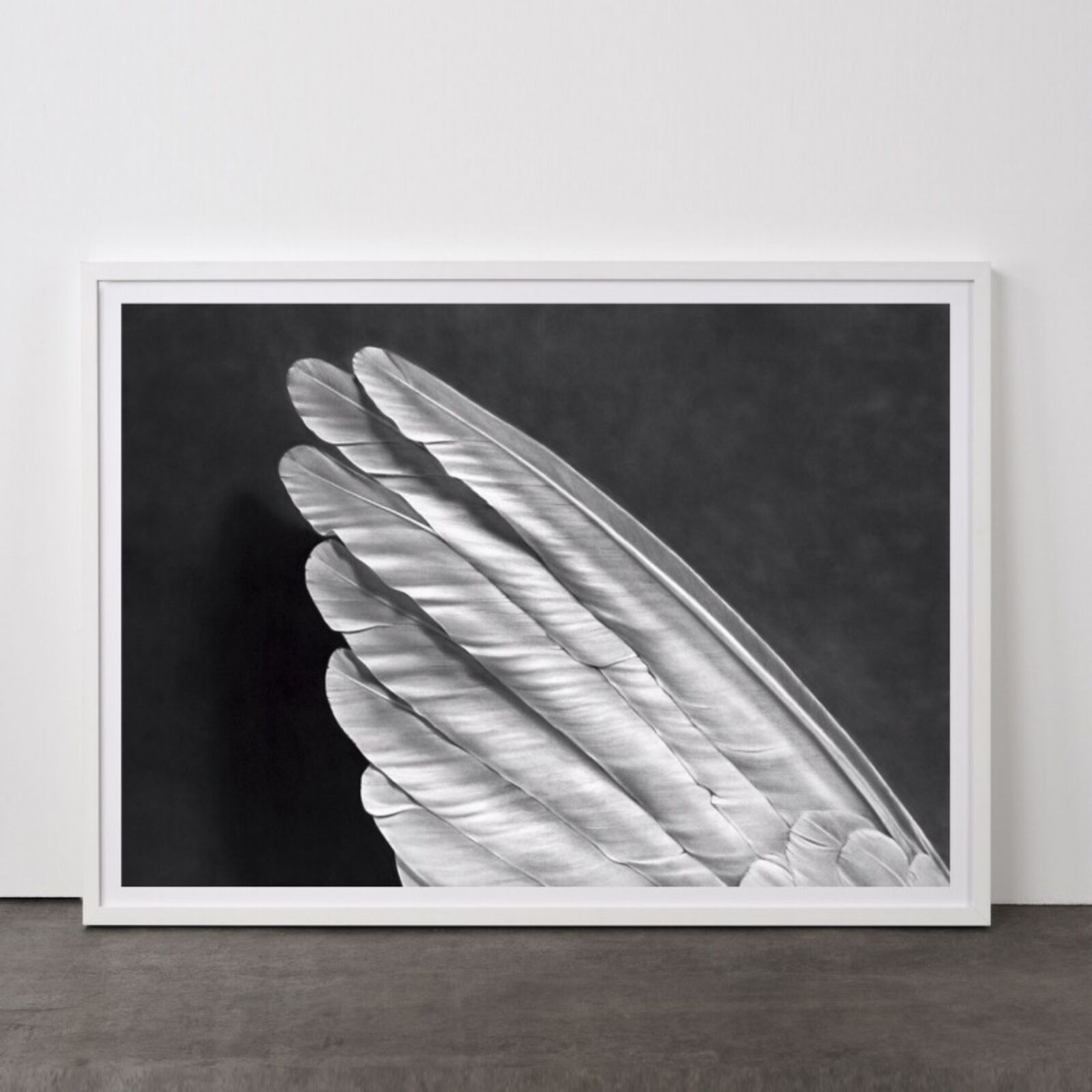 Artwork by Robert Longo, Angel´s Wing, Made of Pigment Print 
