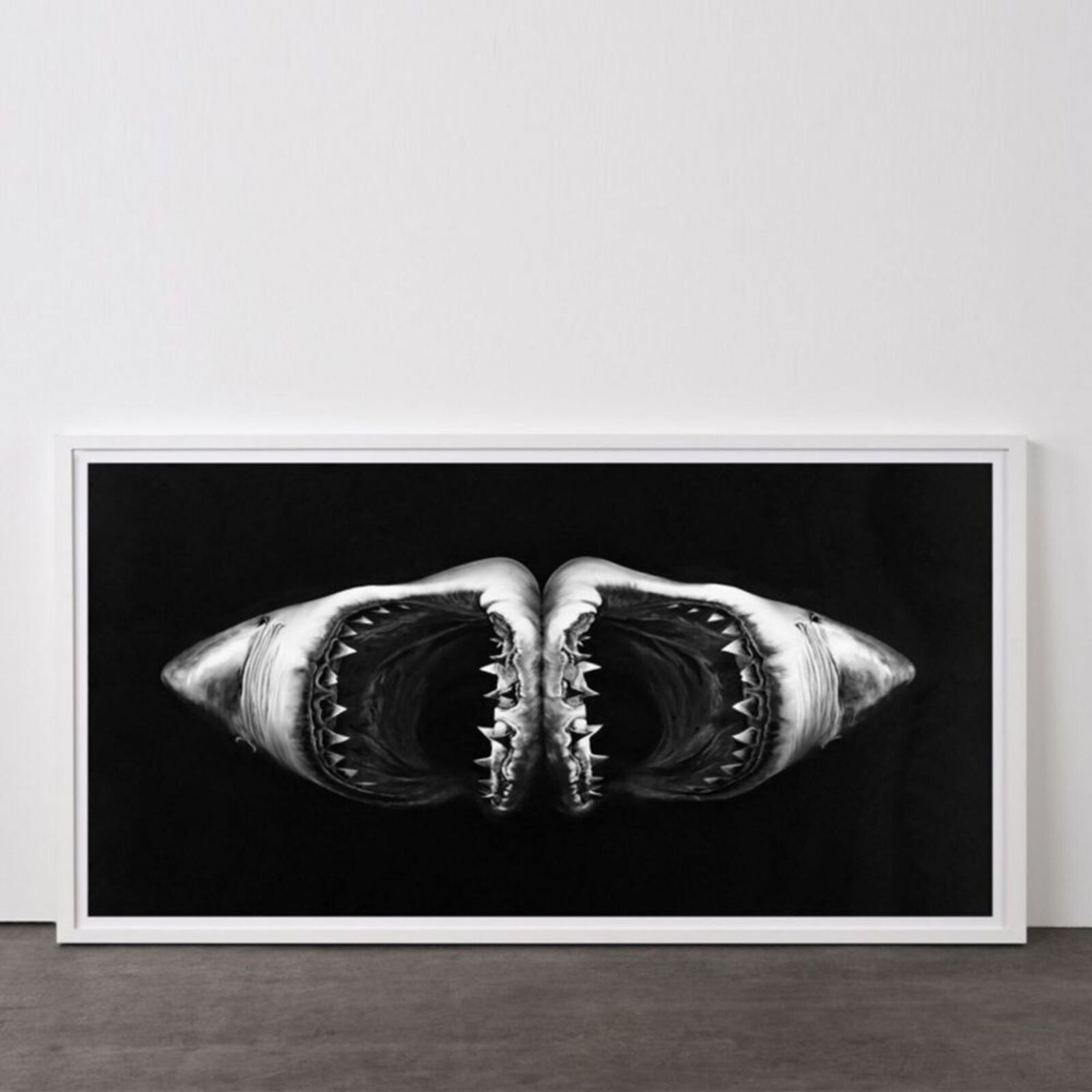 A monochromatic artwork featuring a symmetrical, mirrored view of two shark heads with open mouths against a dark background.