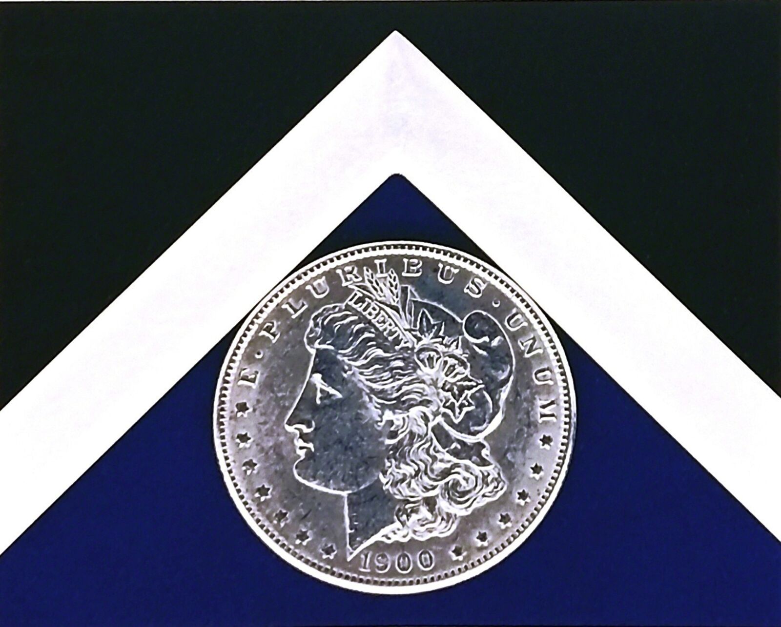 Artwork by Robert Mapplethorpe, SILVER DOLLAR (COLOR), Made of Gelatin Silver Print 