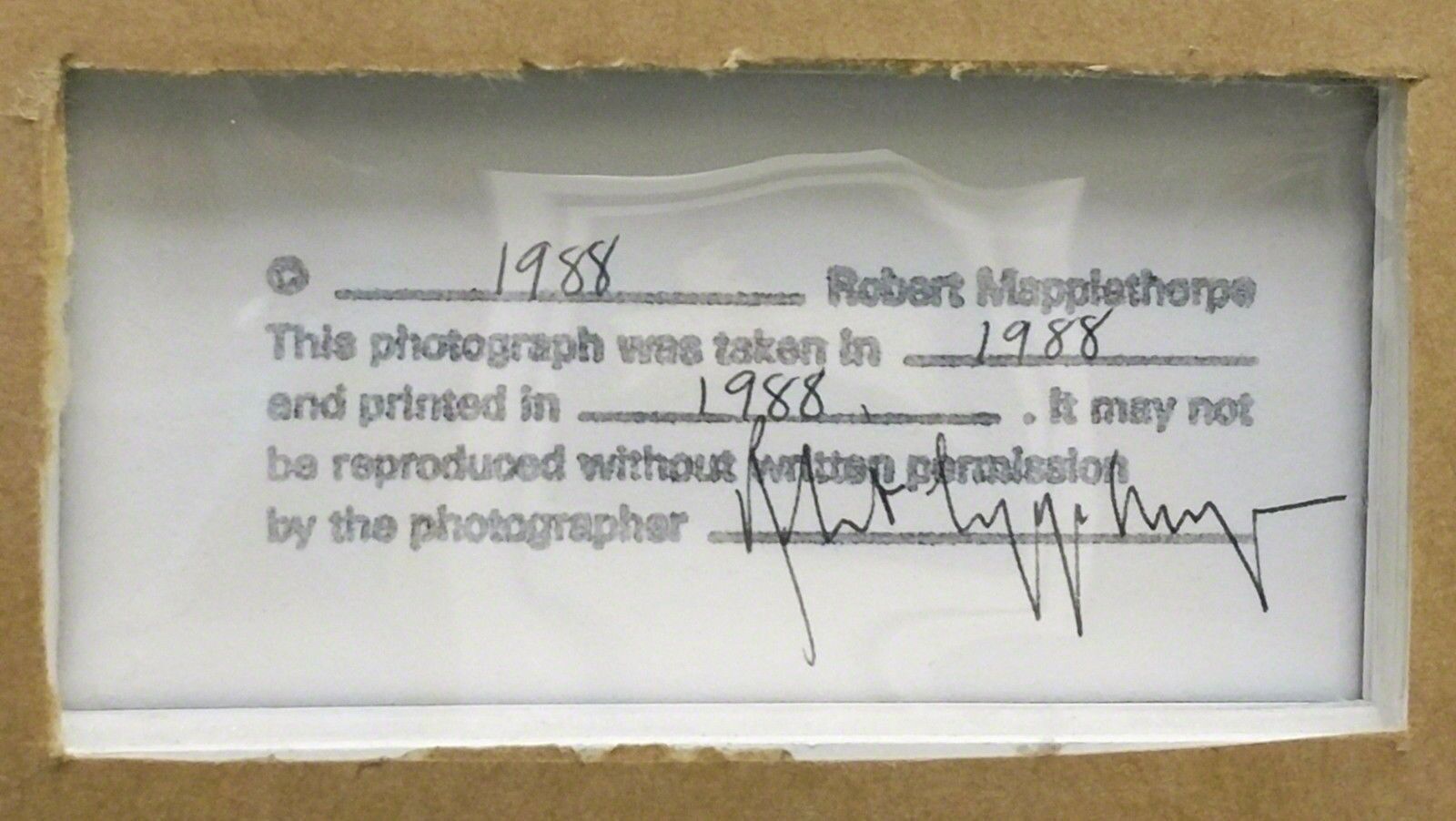 Artwork by Robert Mapplethorpe, SILVER DOLLAR (COLOR), Made of Gelatin Silver Print 