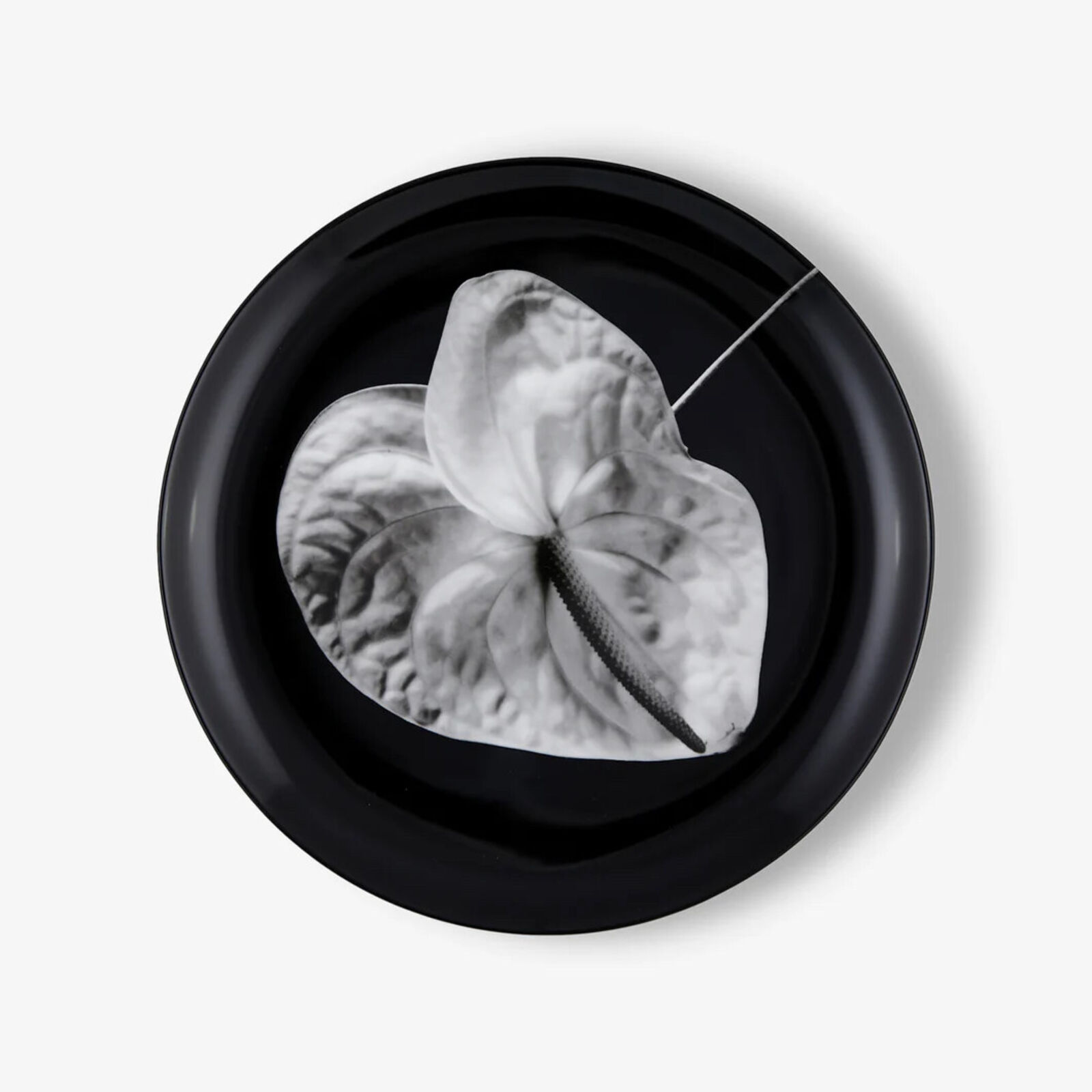 A black and white photo of a flower on a plate.