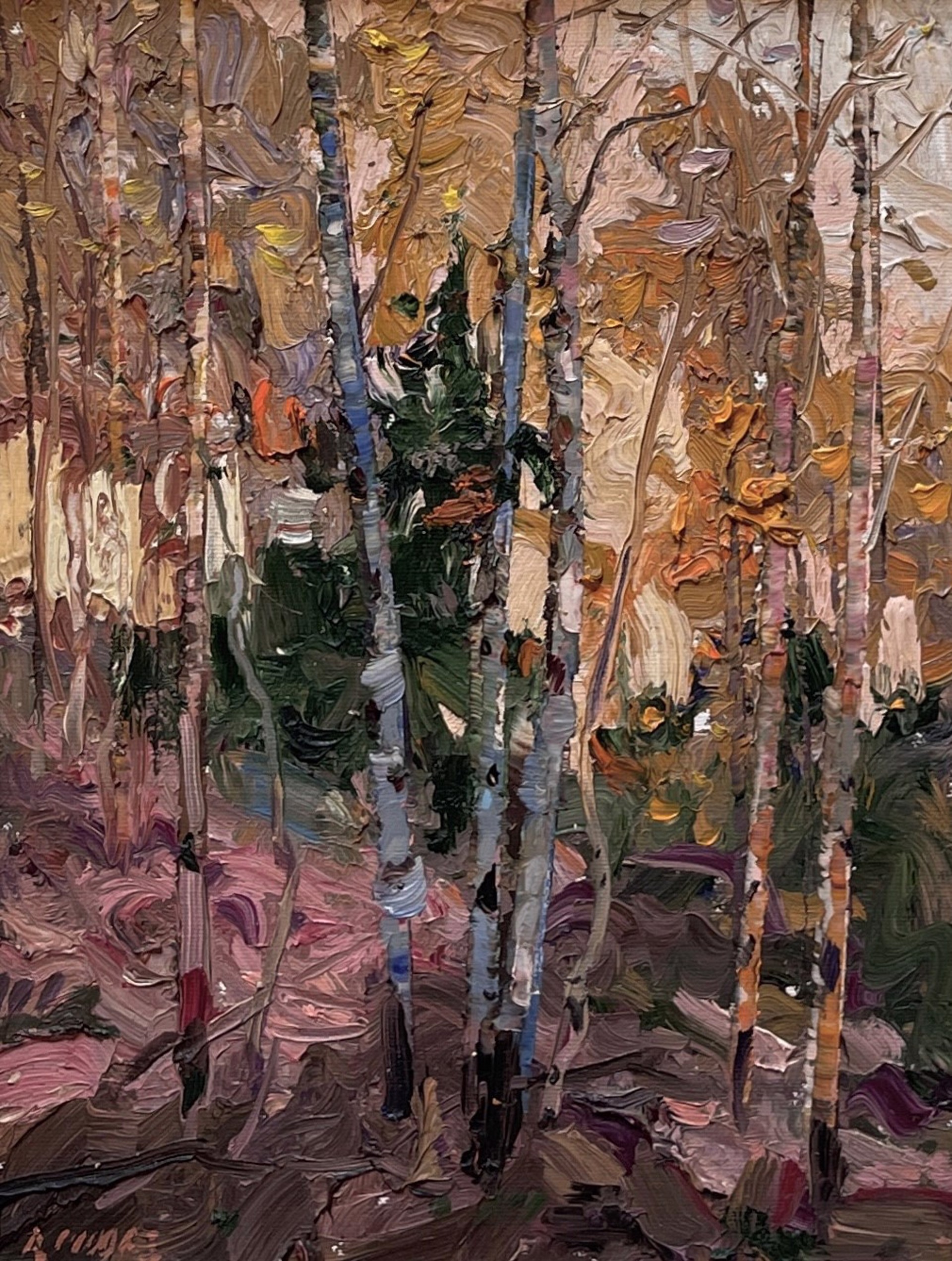 A painting of a group of birch trees in a forest.