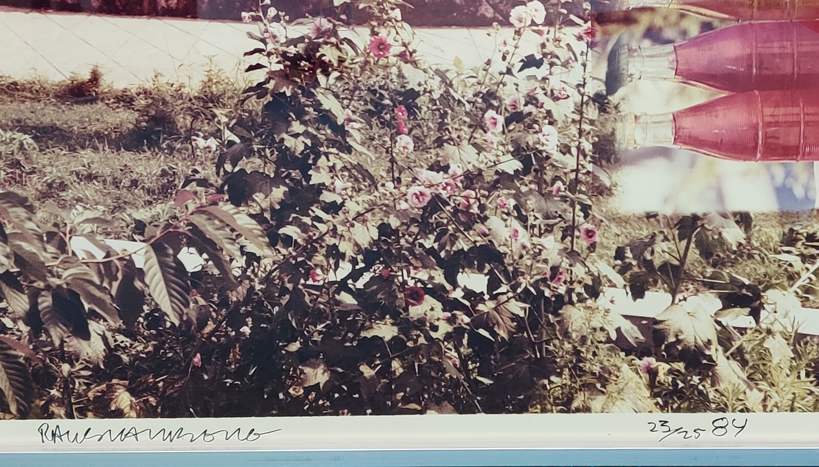 Artwork by Robert Rauschenberg, STUDIES FOR CHINESE SUMMERHALL V, Made of Color Photograph On Kodak Ektacolor 78f Paper 