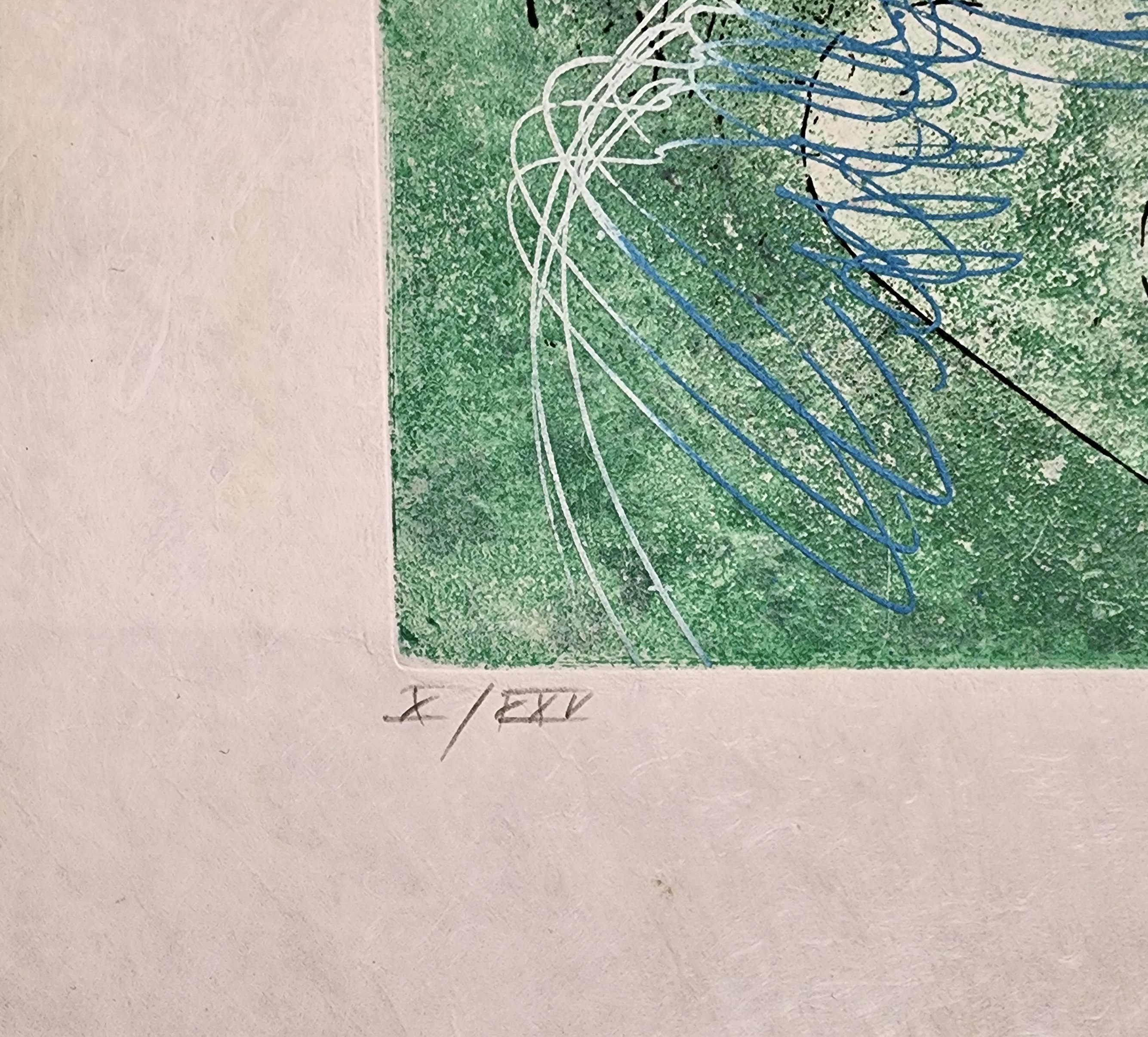 Artwork by Roberto Matta, N'ou's from Hom'mere II L Eautre, Made of Etching On Japon Paper 