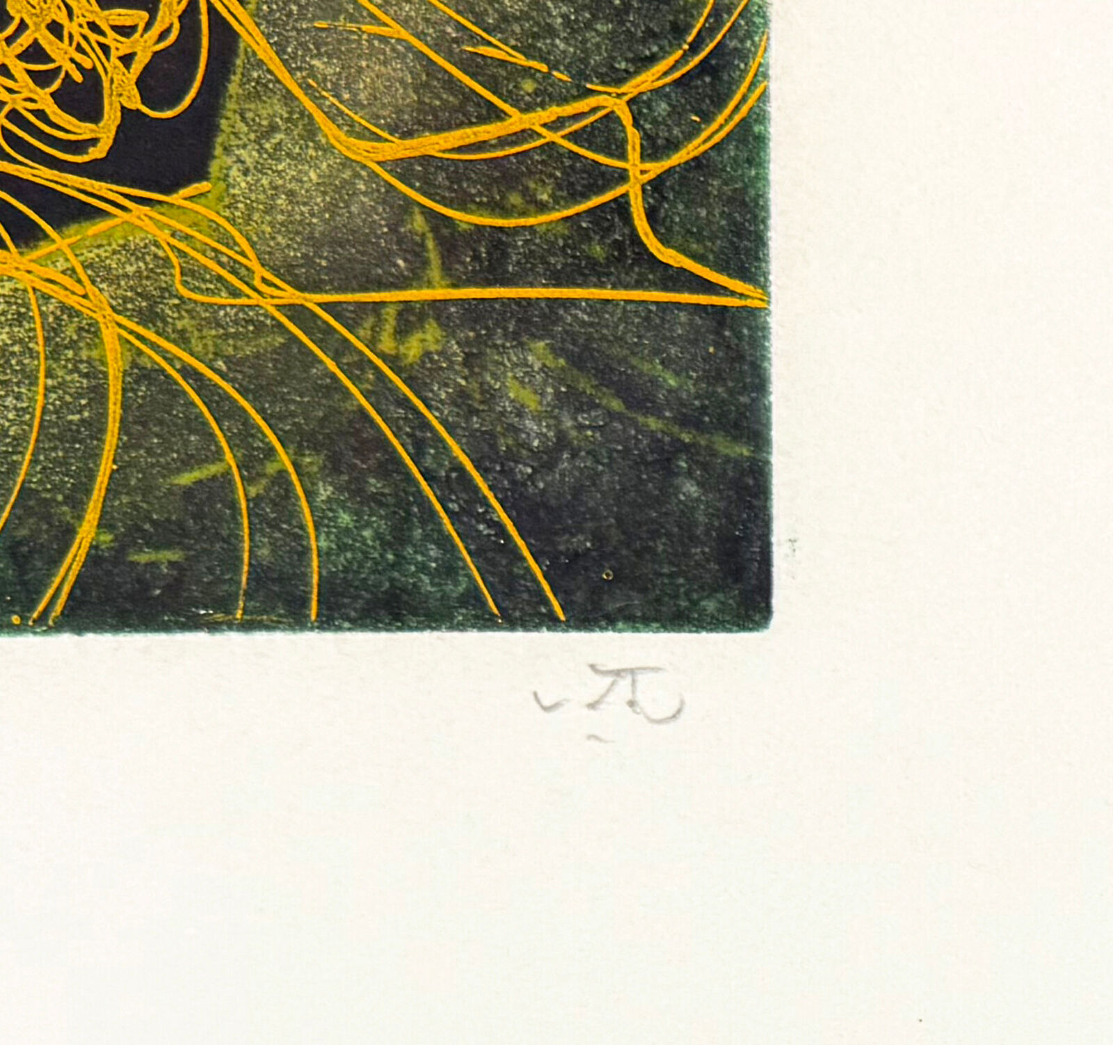 A picture of a painting in a frame on a wall.