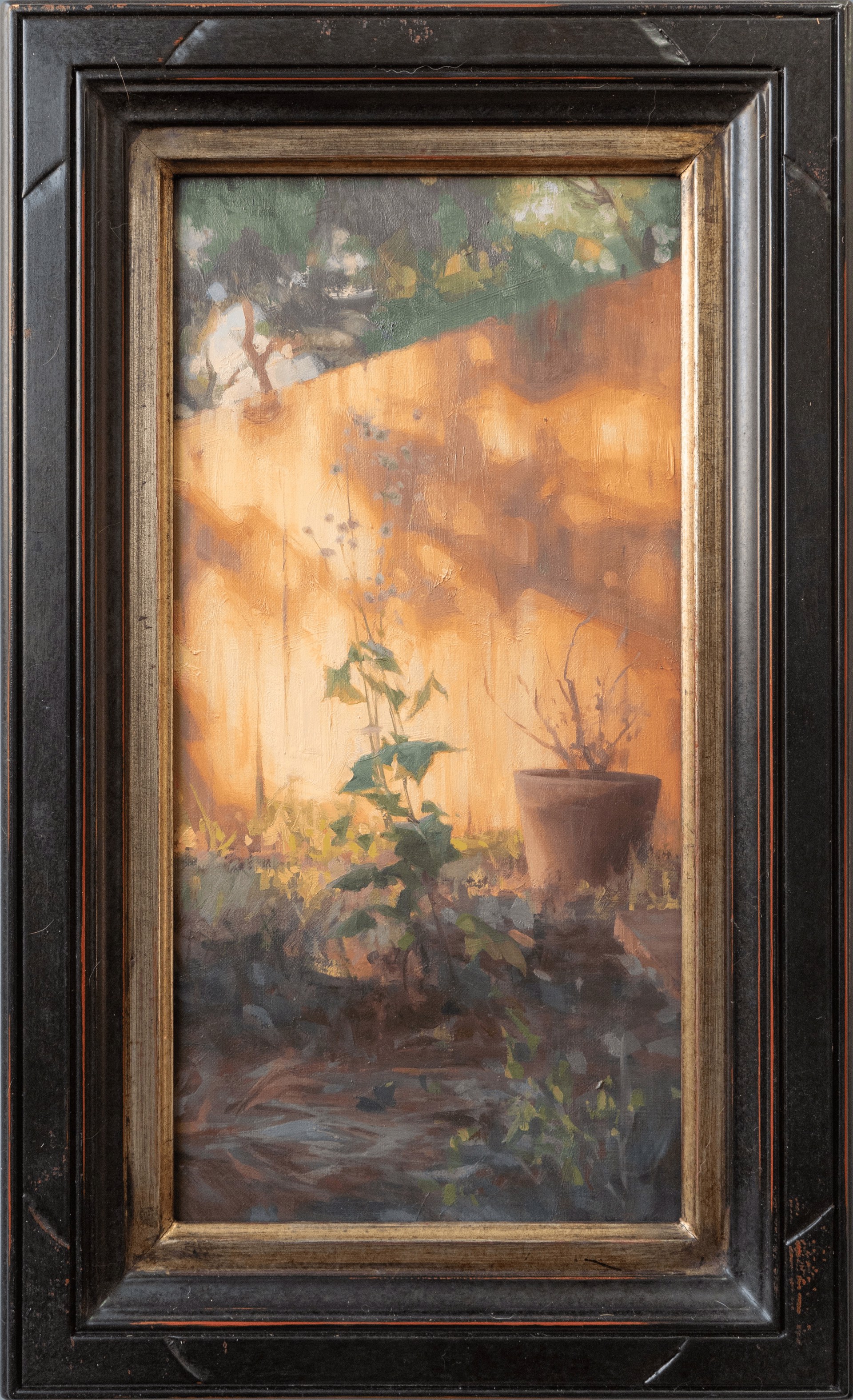 Forgotten Corner in Sonoma