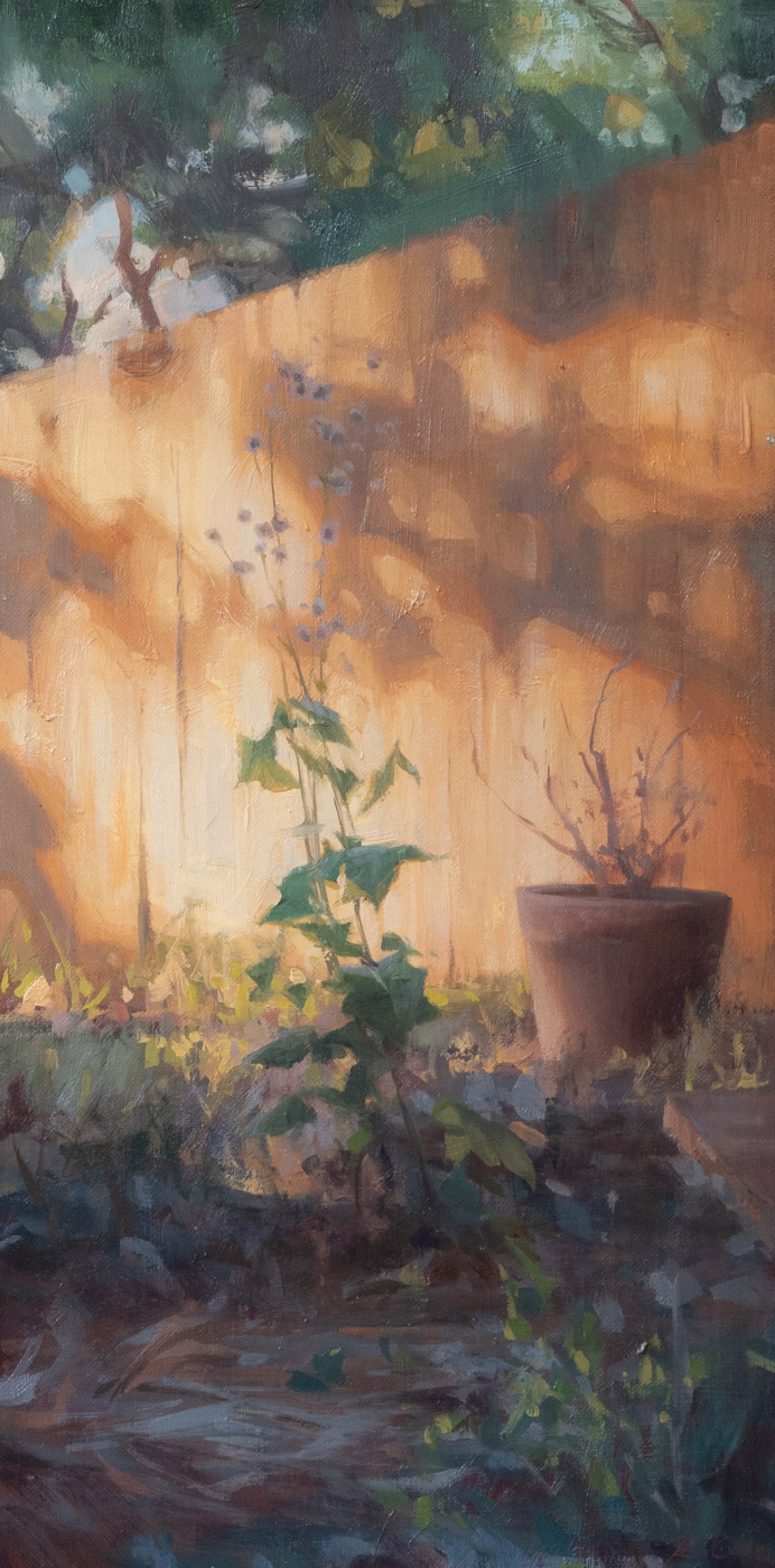 Forgotten Corner in Sonoma by Robin Cole, 2024