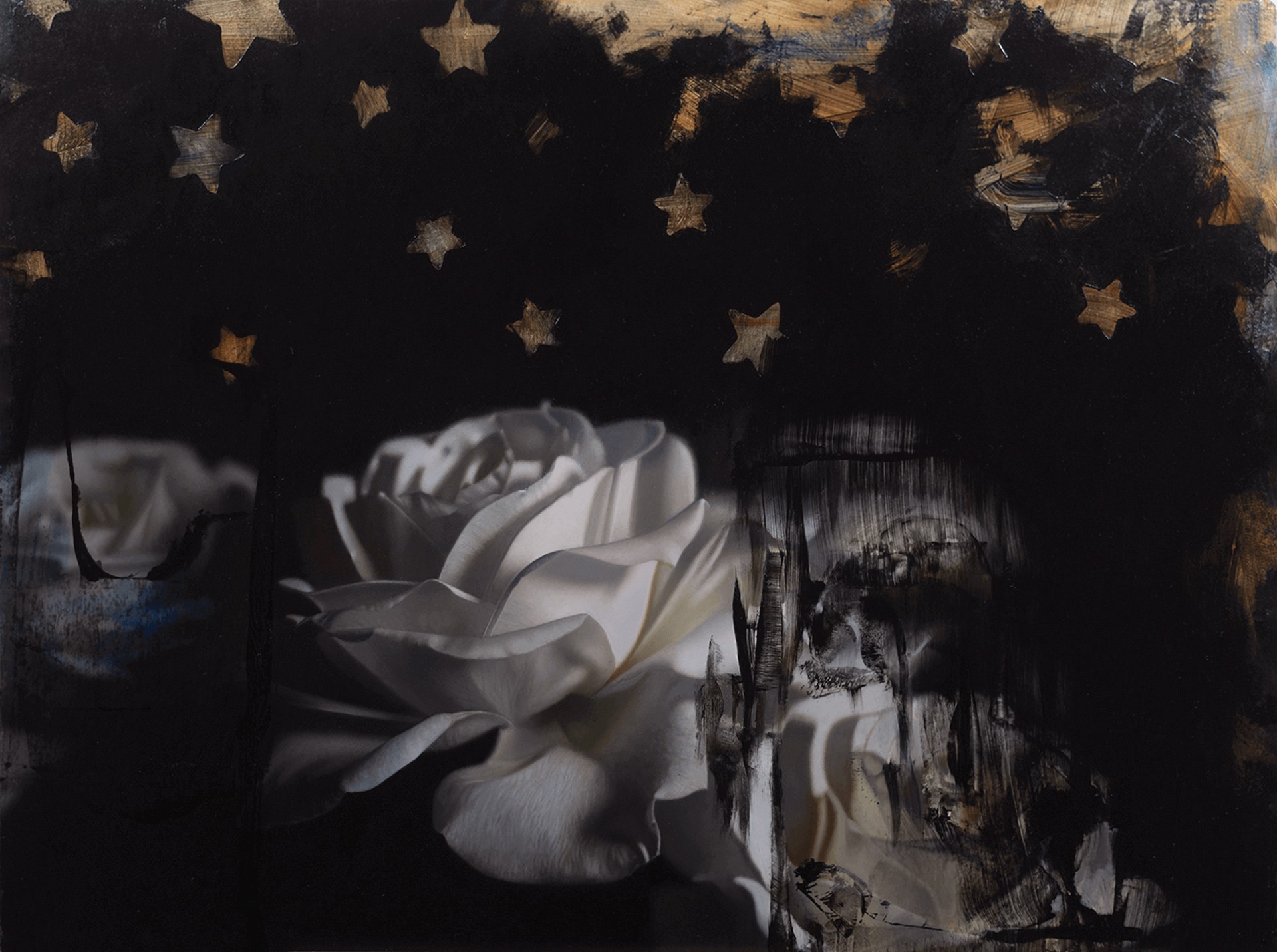 A dramatic floral still life featuring a white rose against a dark, starry background.