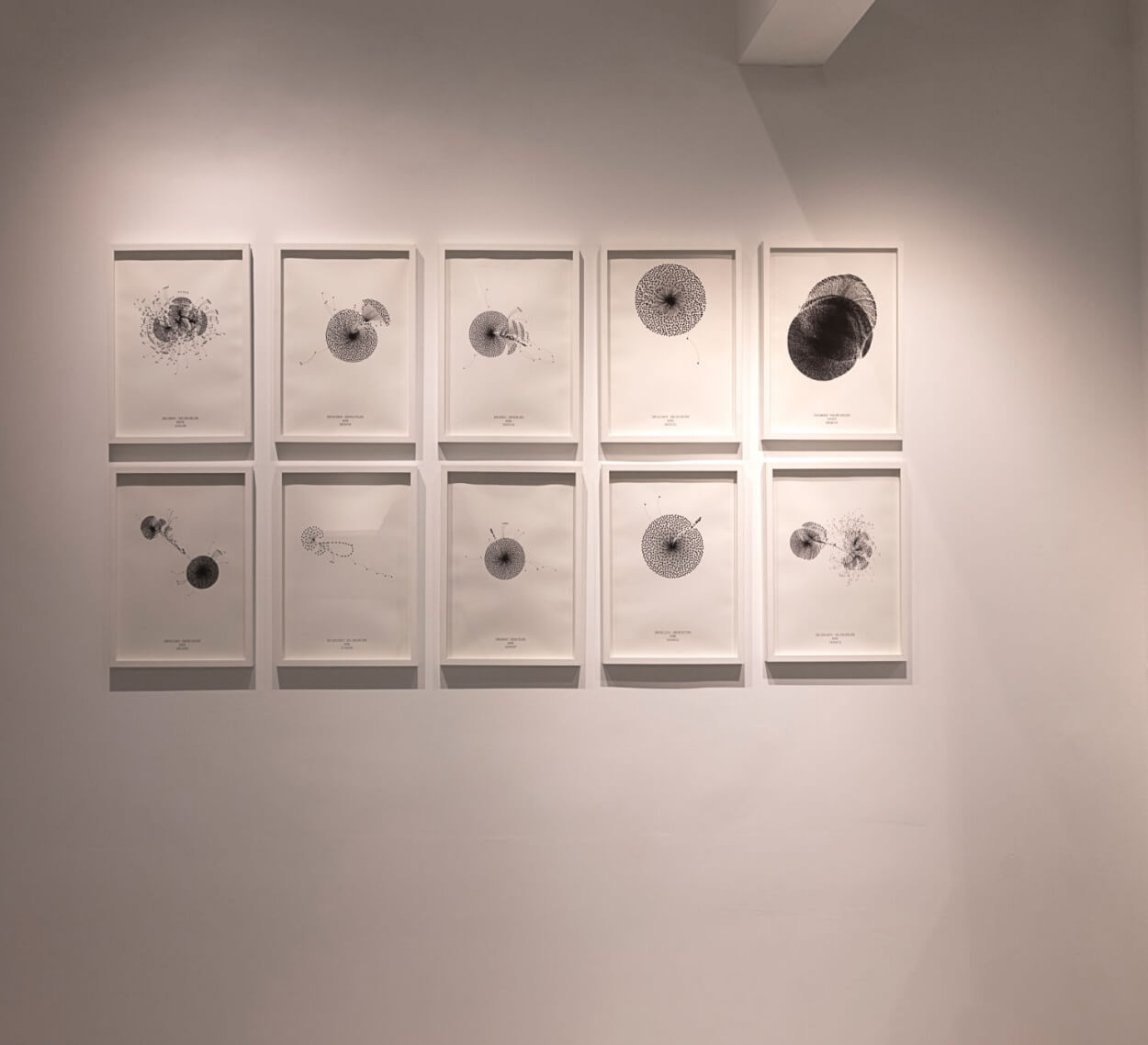 Artwork by Rodolfo Peraza, Pilgram 2.0/ Naked Link, Made of Printed Drawings On Cotton Paper 
