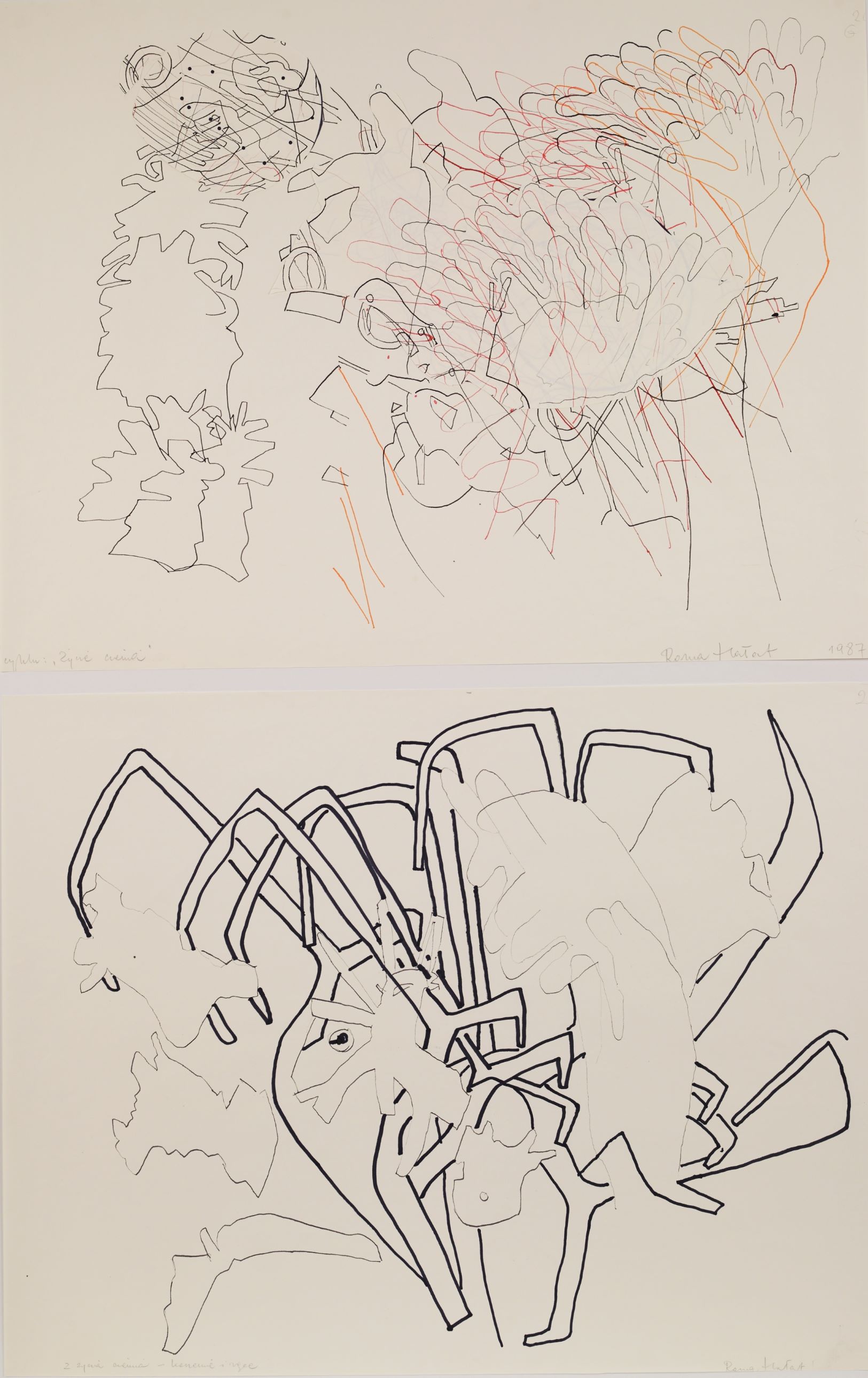 A drawing of a spider and a drawing of an insect.