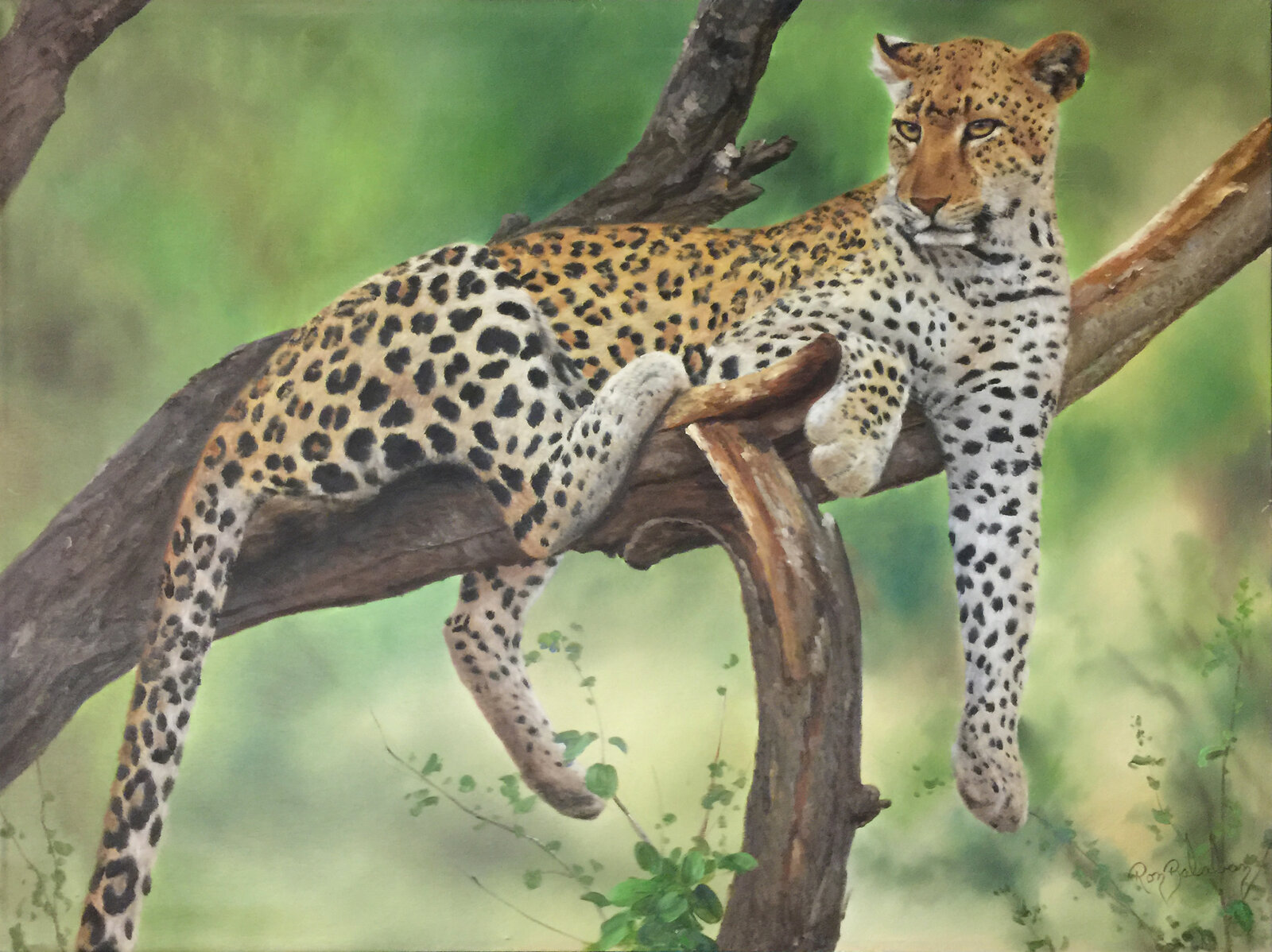 Ron Balaban | Leopard (2000) | MutualArt