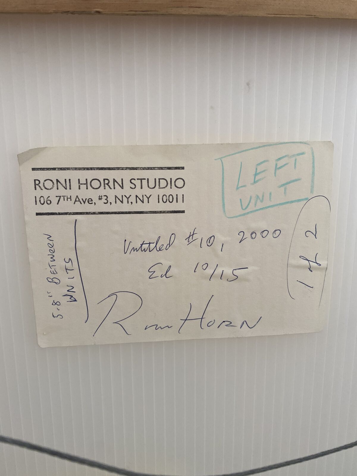 Artwork by Roni Horn, Diptych: Untitled Number 10 (Bird Pair: Cormorant & Goose ), Made of Iris print photograph on Somerset Satin Paper in two parts 