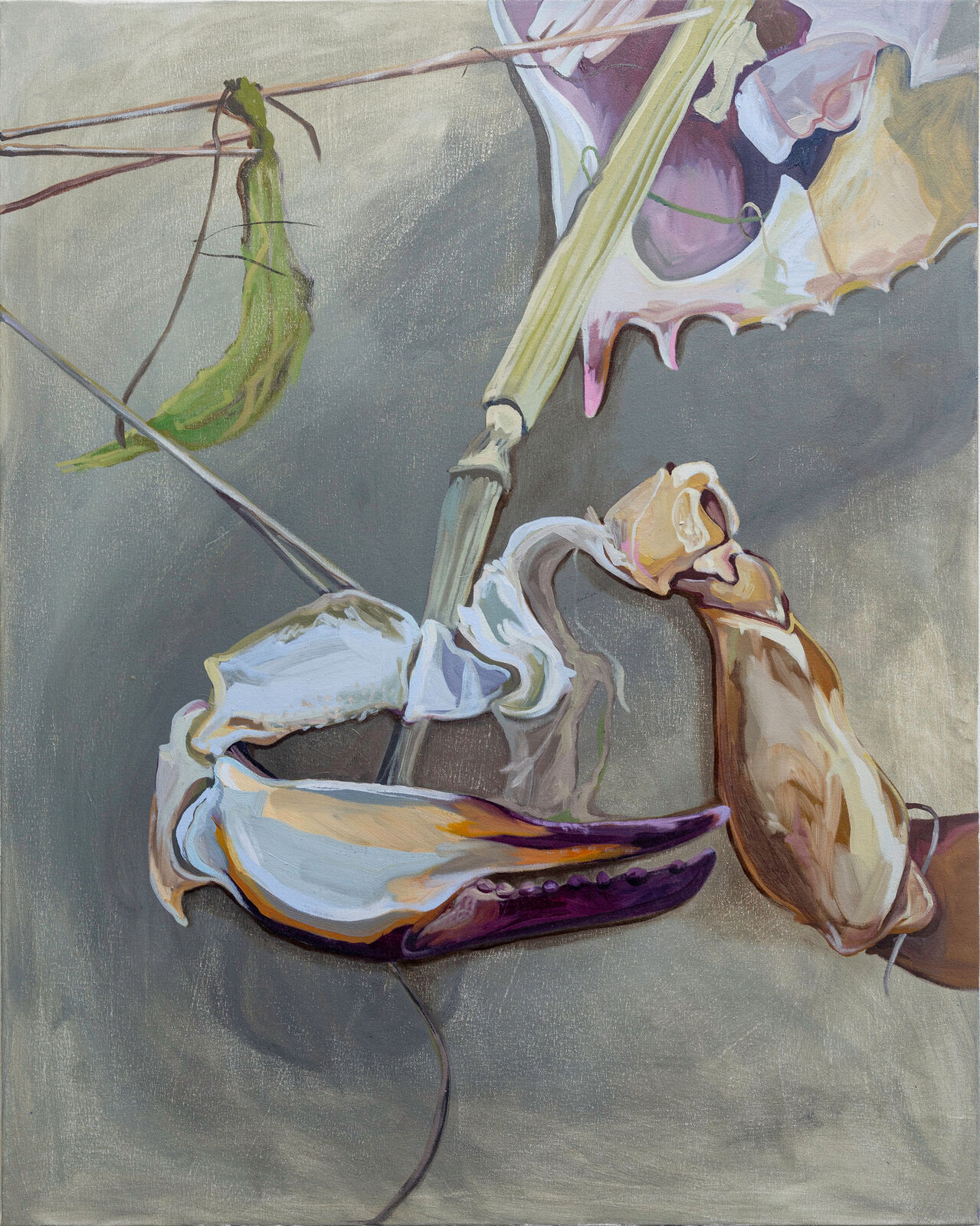 A still life painting featuring a mantis, a crab claw, and a flower against a muted grey background.