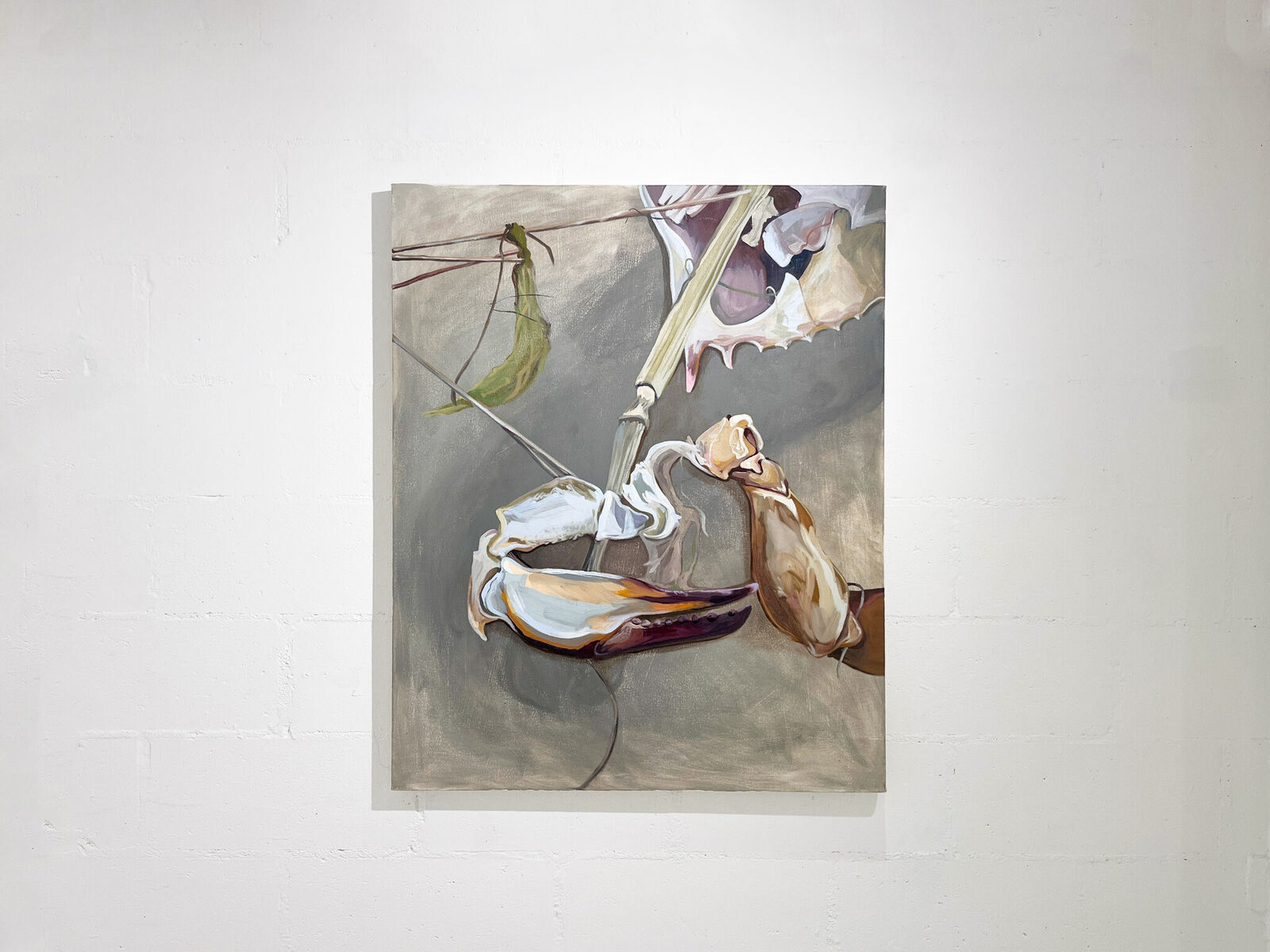 A still life painting featuring a mantis, a crab claw, and a flower against a muted grey background.