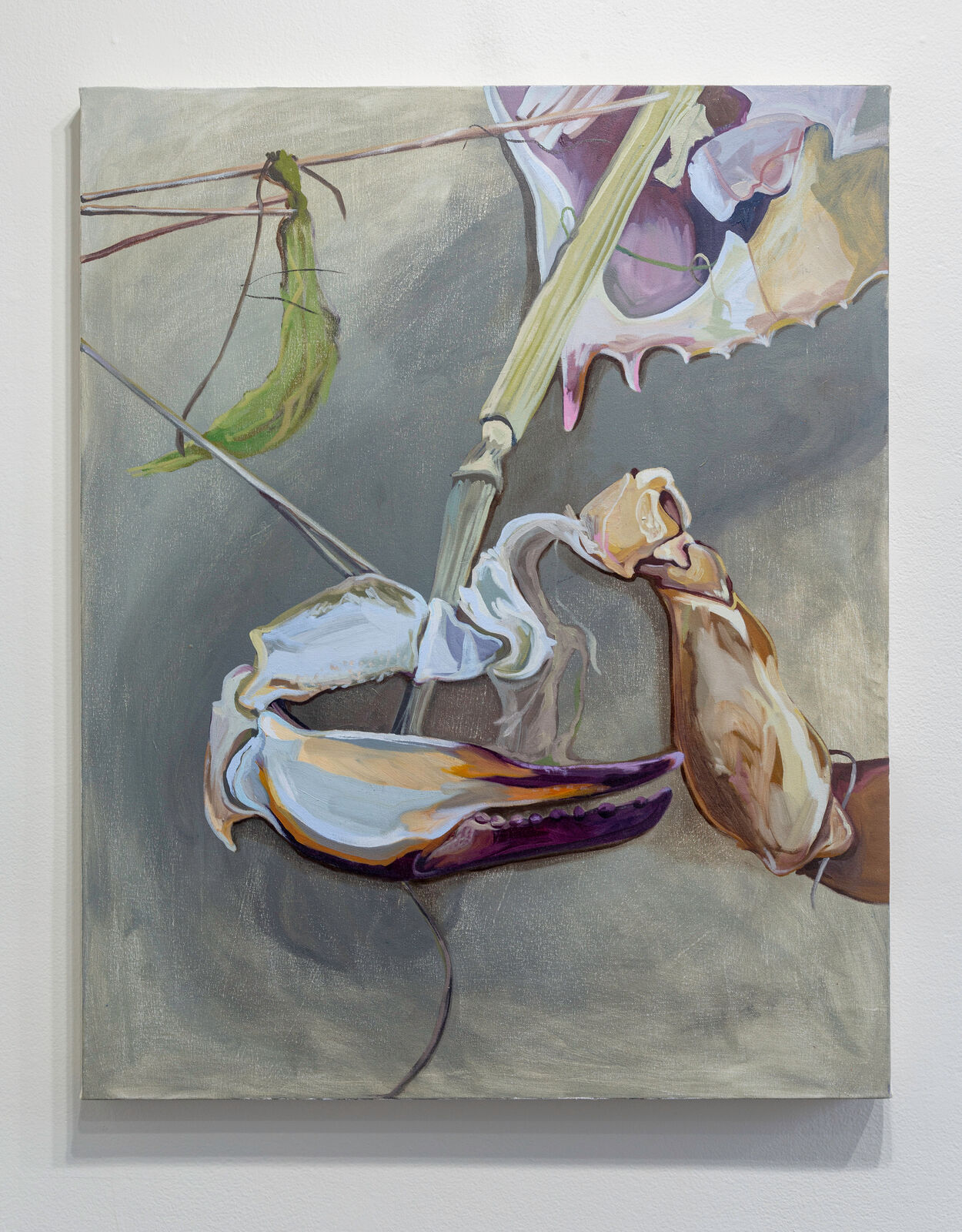 A still life painting featuring a mantis, a crab claw, and a flower against a muted grey background.