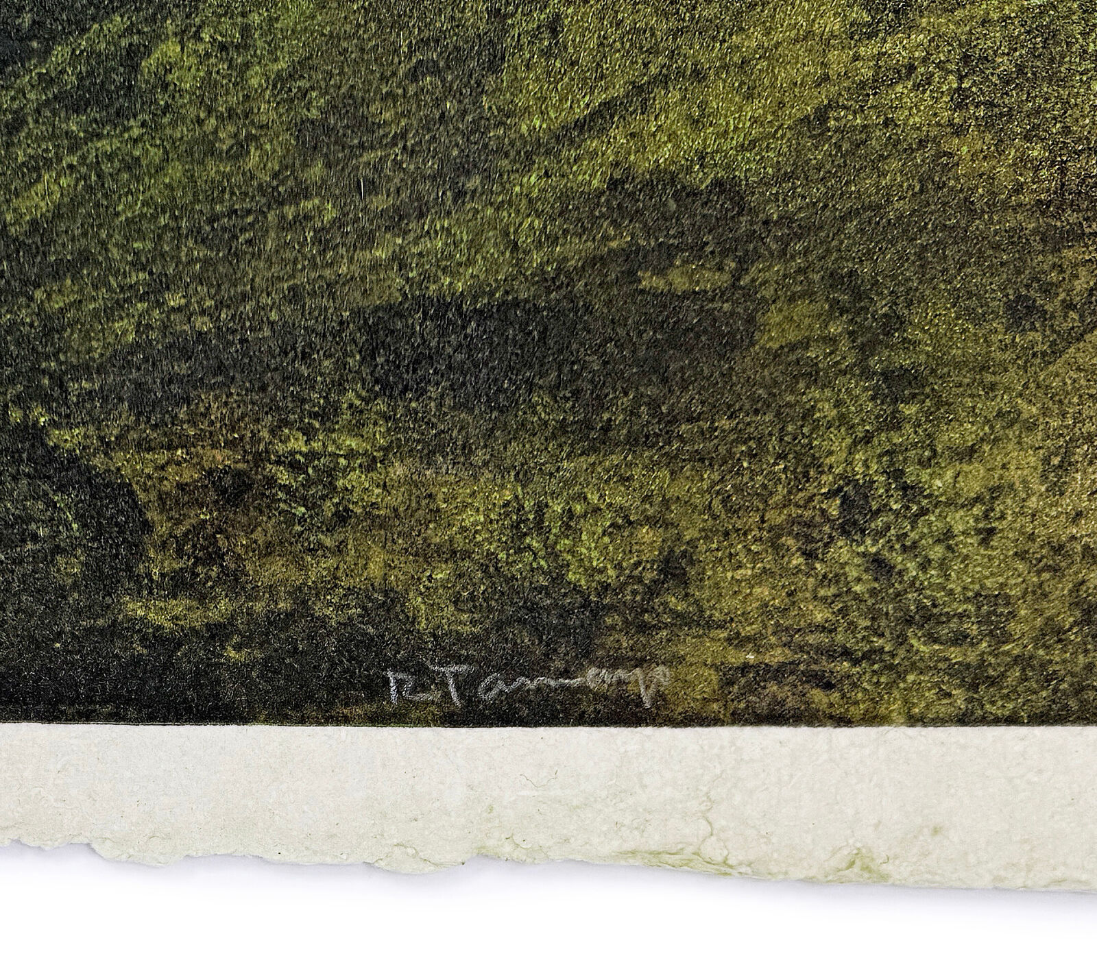 A drawing of a snake wrapped around a circle.