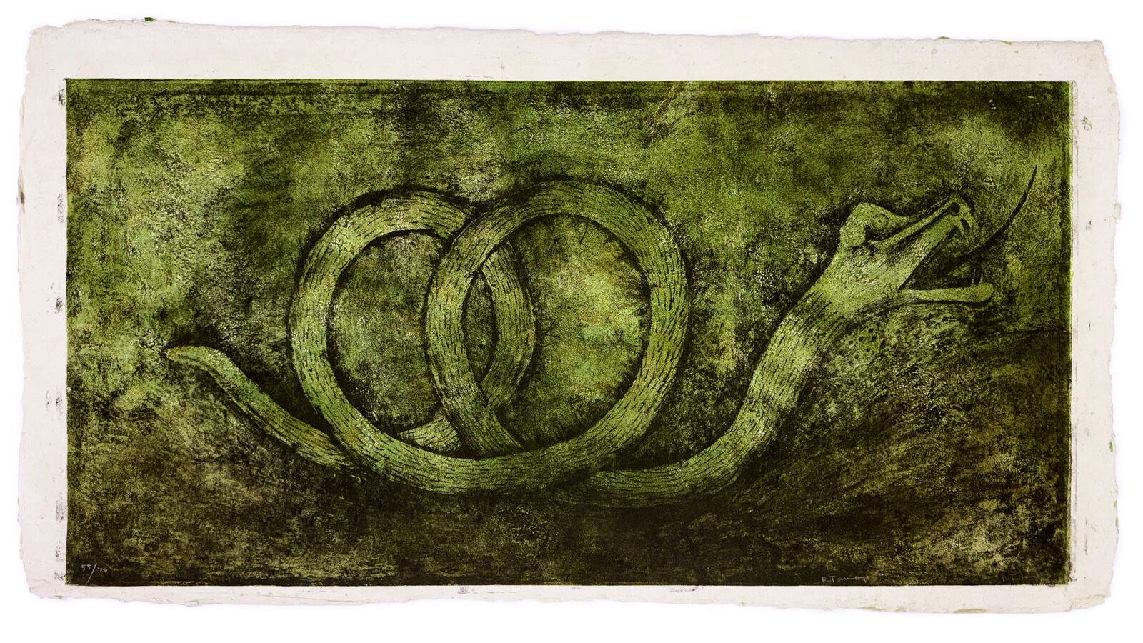 A drawing of a snake wrapped around a circle.