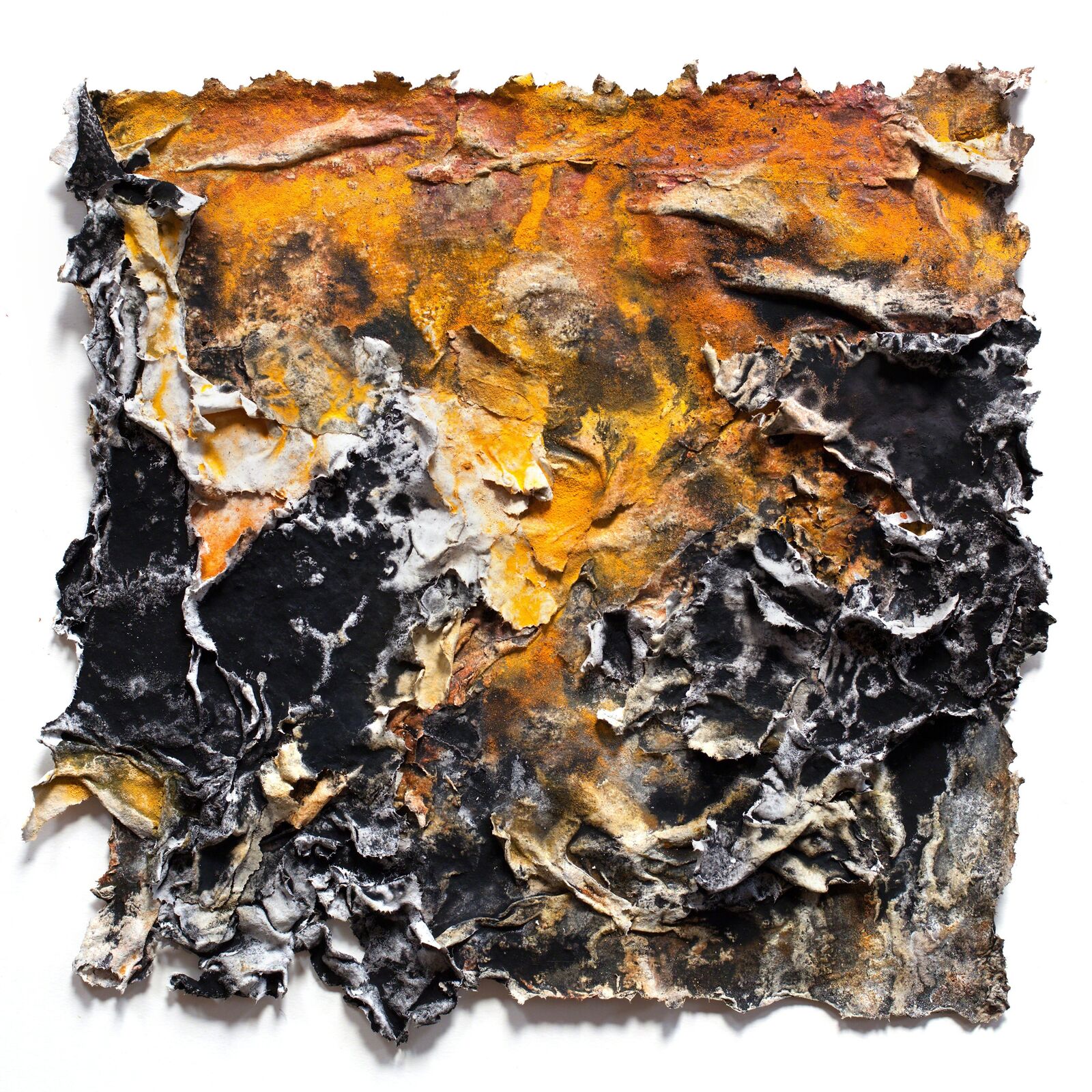 Charta: Ater, Gilvus et Flavus by Ruggero Vanni, 2014