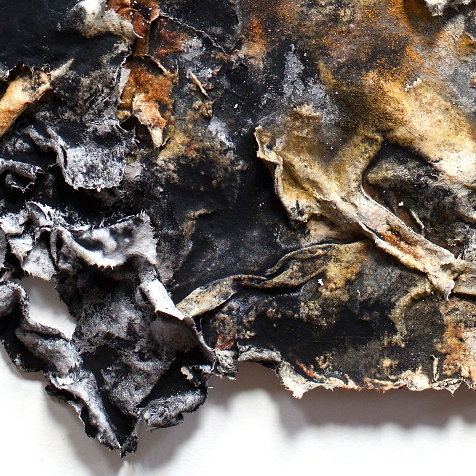 Artwork by Ruggero Vanni, Charta: Ater, Gilvus et Flavus, Made of Pigment and Watercolor on Handmade Paper 