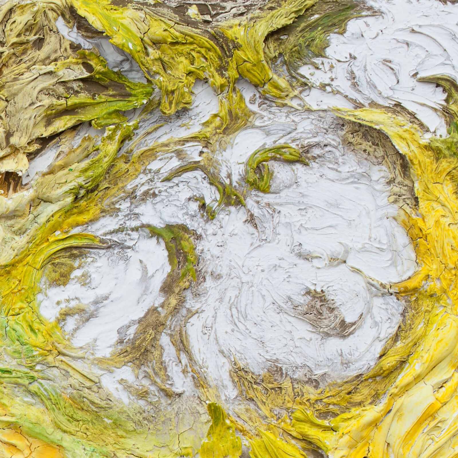 Artwork by Ruggero Vanni, Horti Solis, Made of Plaster and pigments on canvas 
