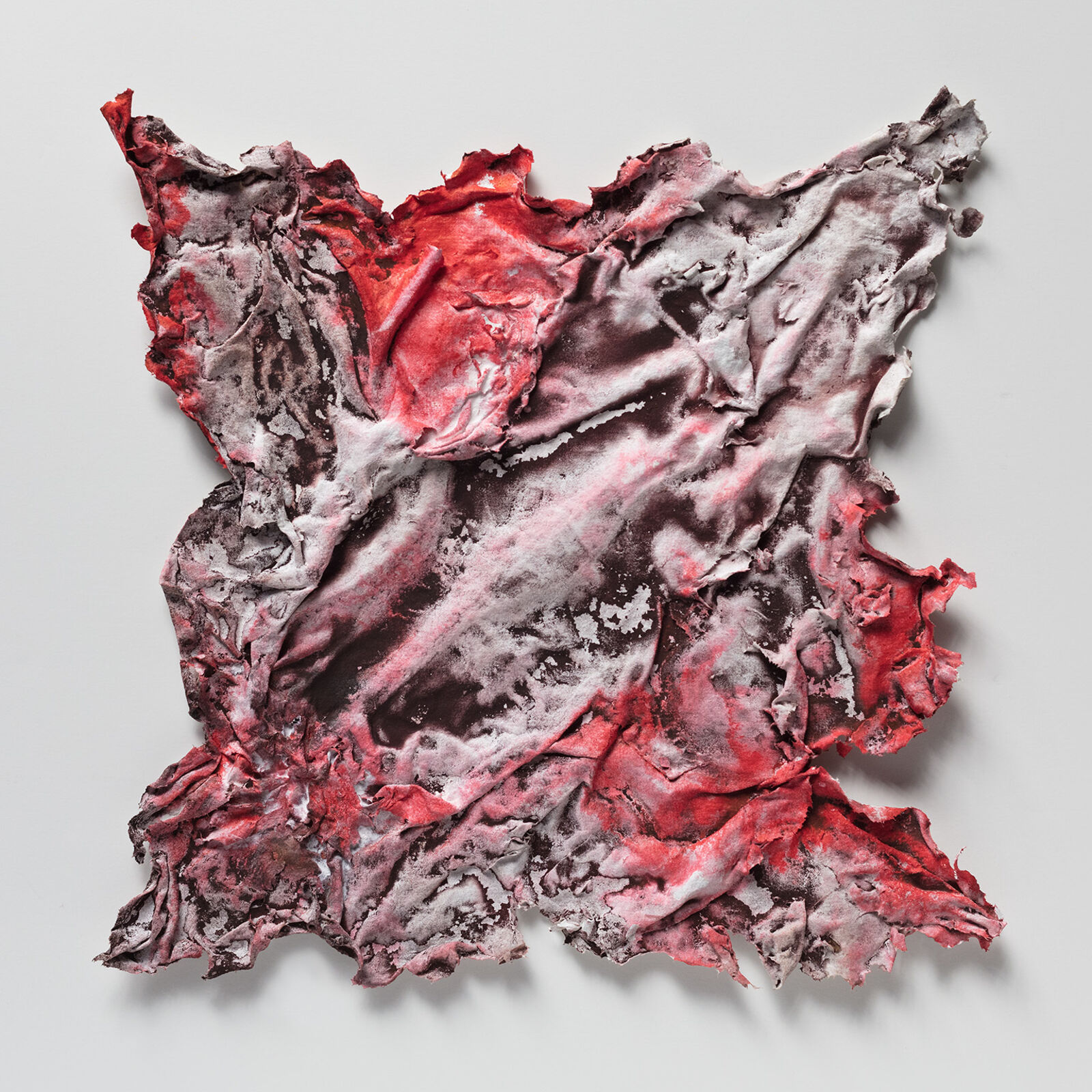 Pompeii Papyrus by Ruggero Vanni, 2019