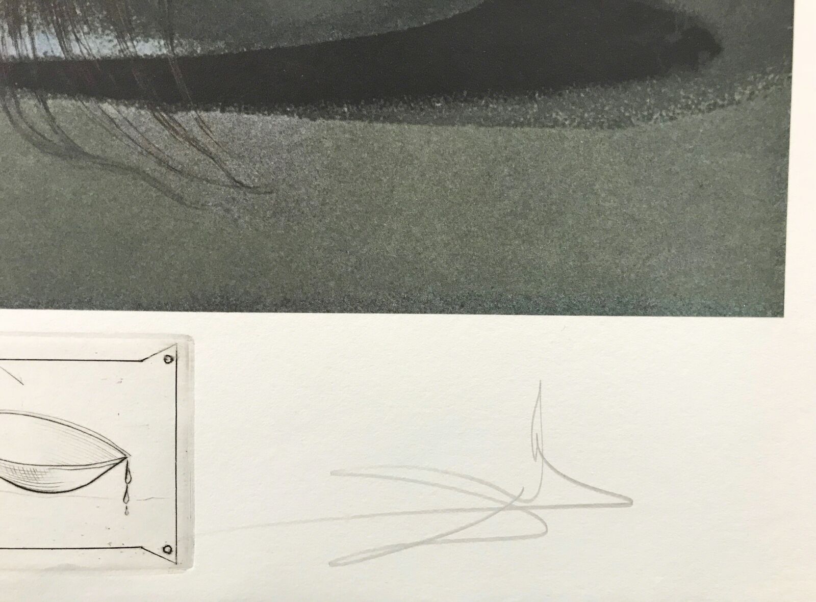 Artwork by Salvador Dalí, LES SUPRENES DE MAILLAISE LILIPUTIENS, Made of Photo Lithograph 