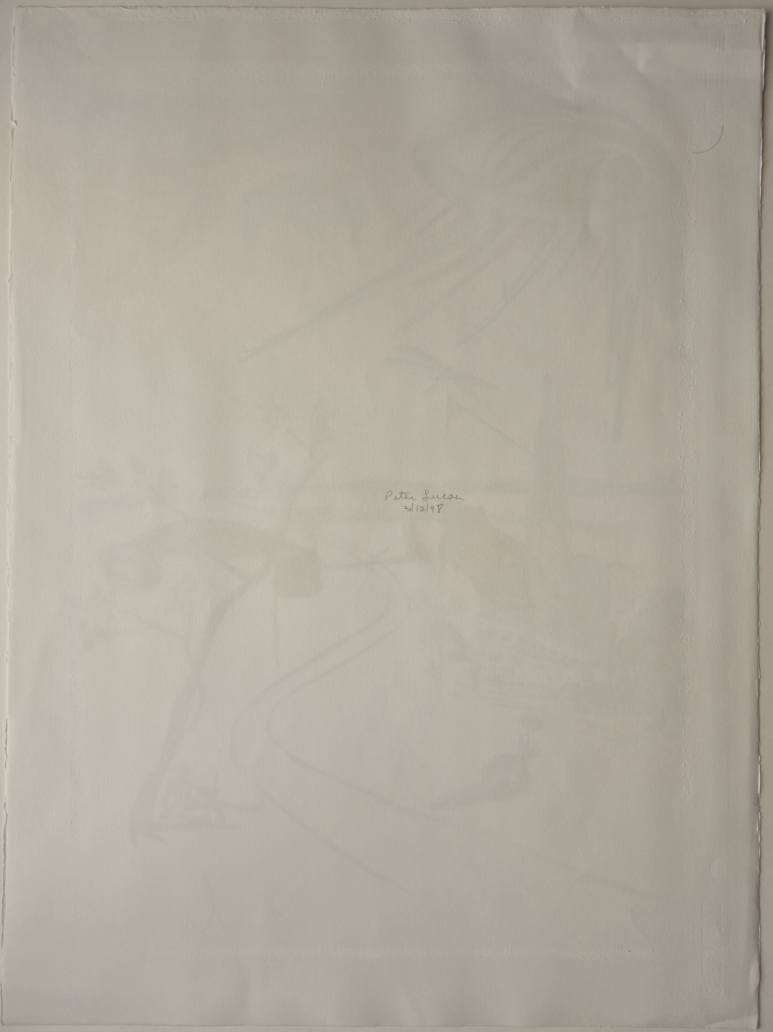A painting of a dragonfly on a piece of paper.