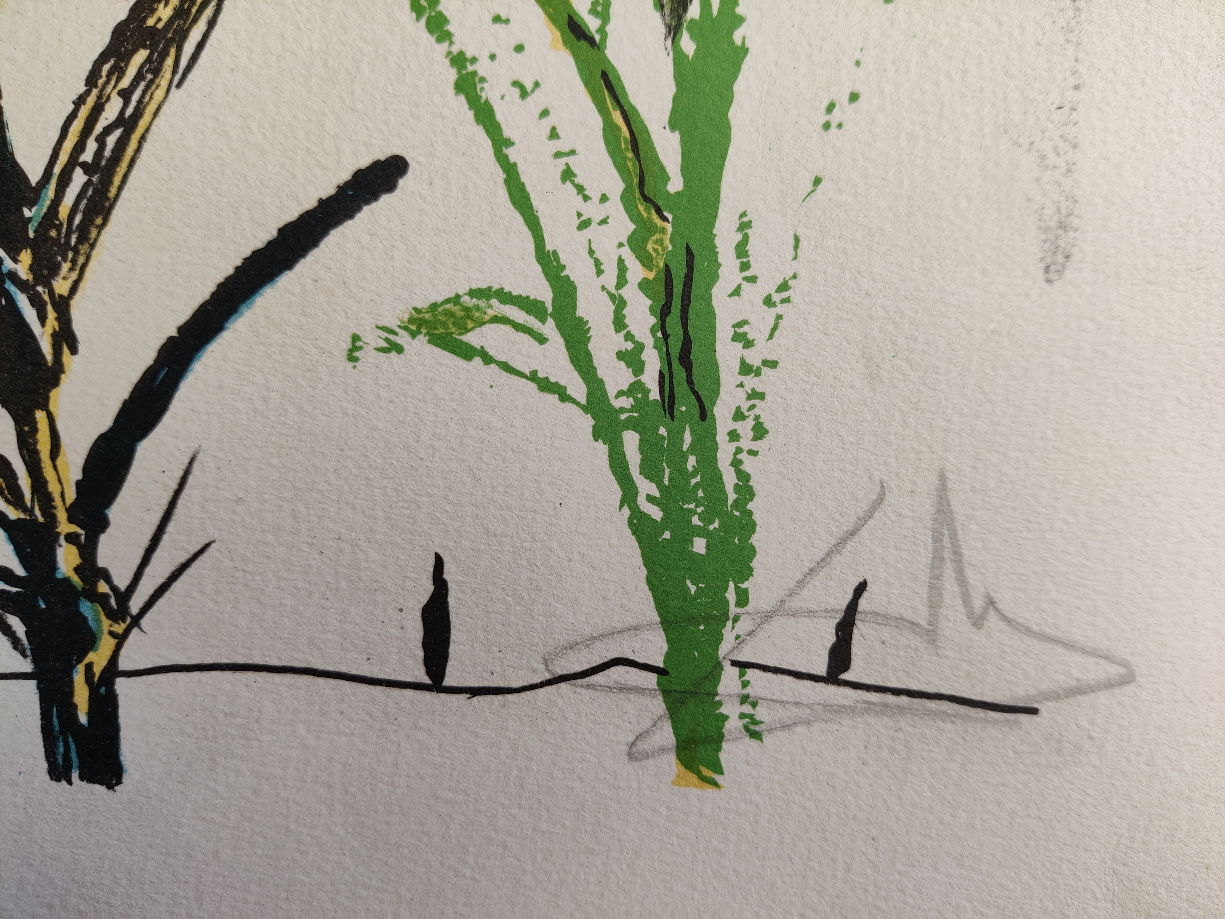 A painting of a dragonfly on a piece of paper.