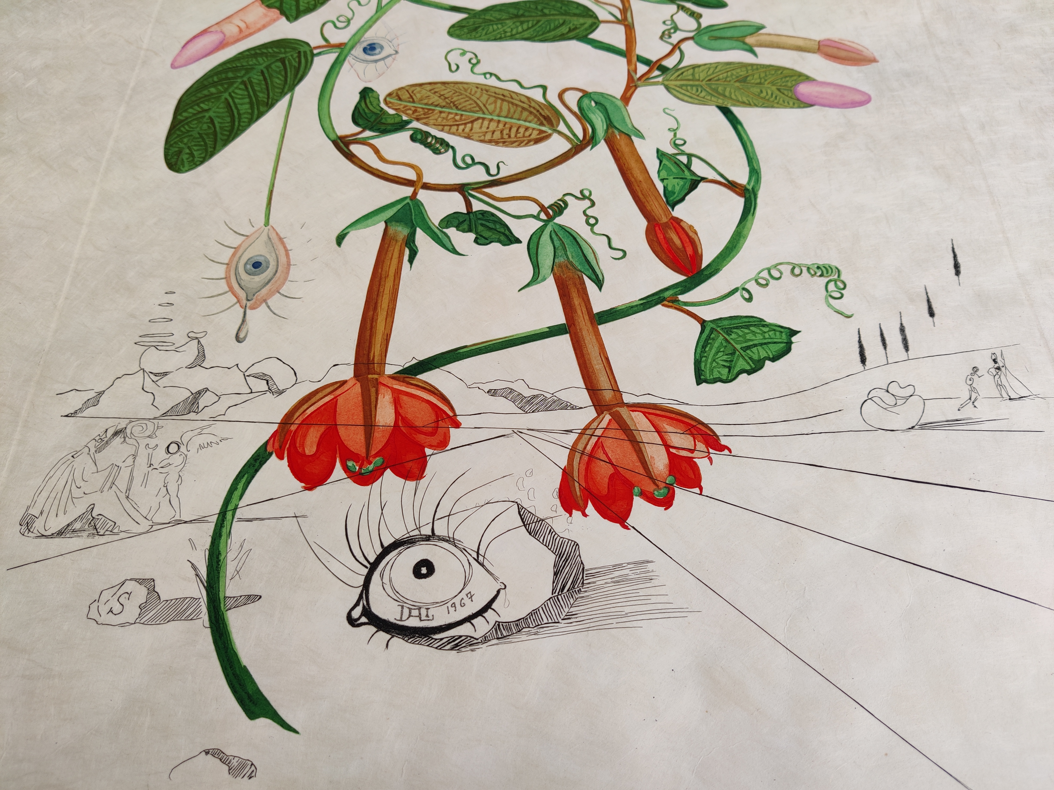 A drawing of a plant with flowers and leaves.