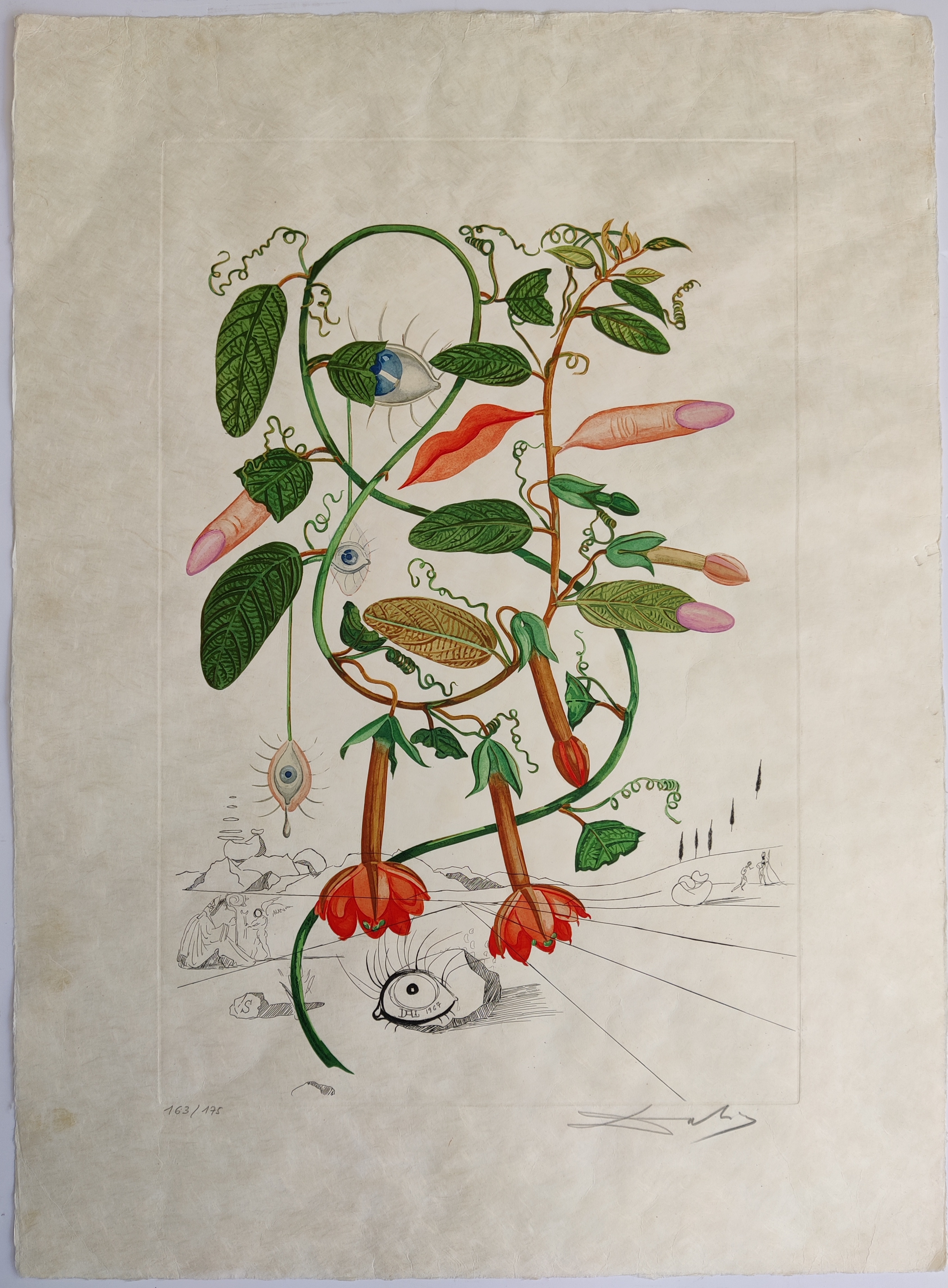 A drawing of a plant with flowers and leaves.