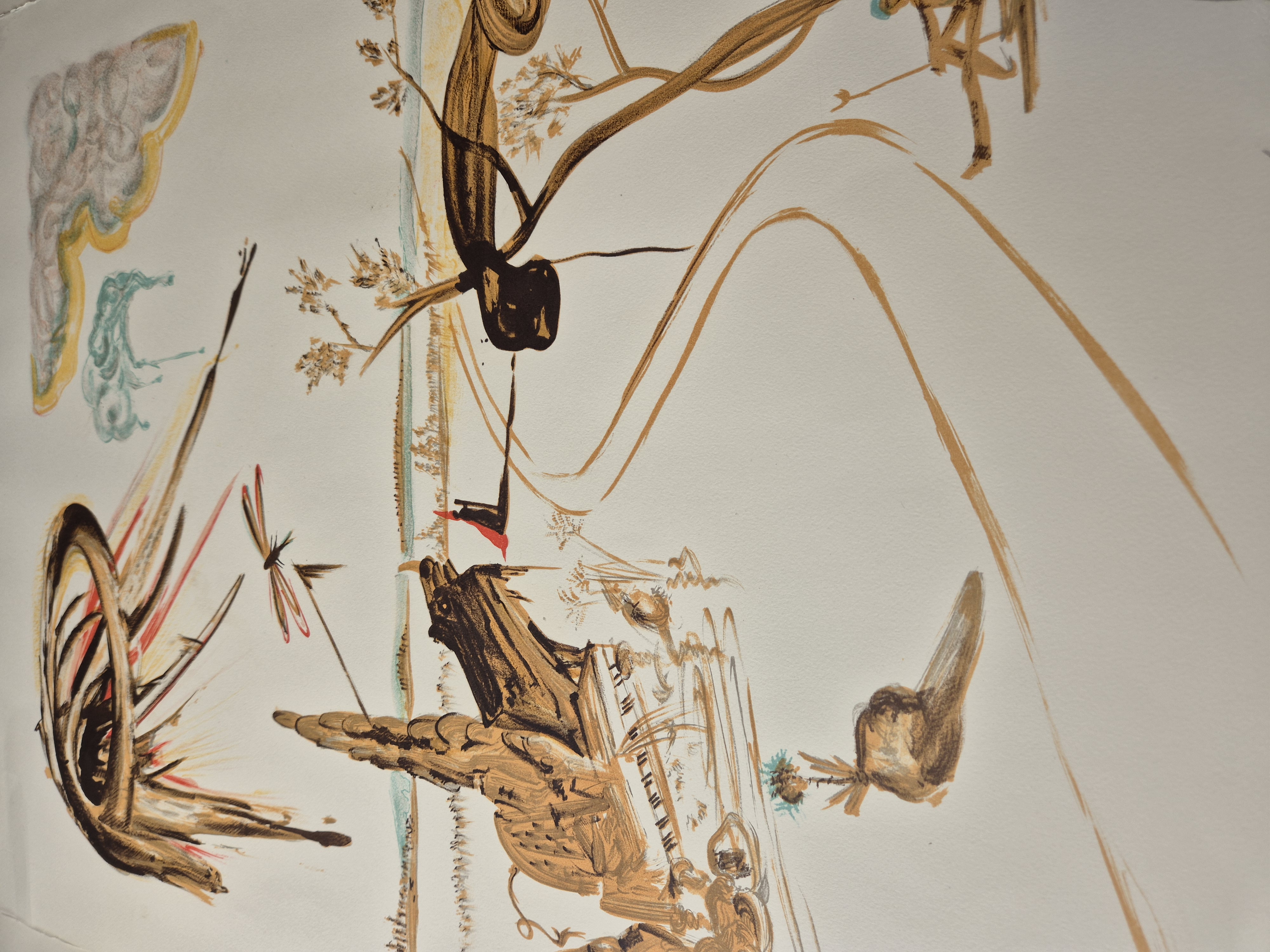 A drawing of a landscape with a dragonfly flying over it.