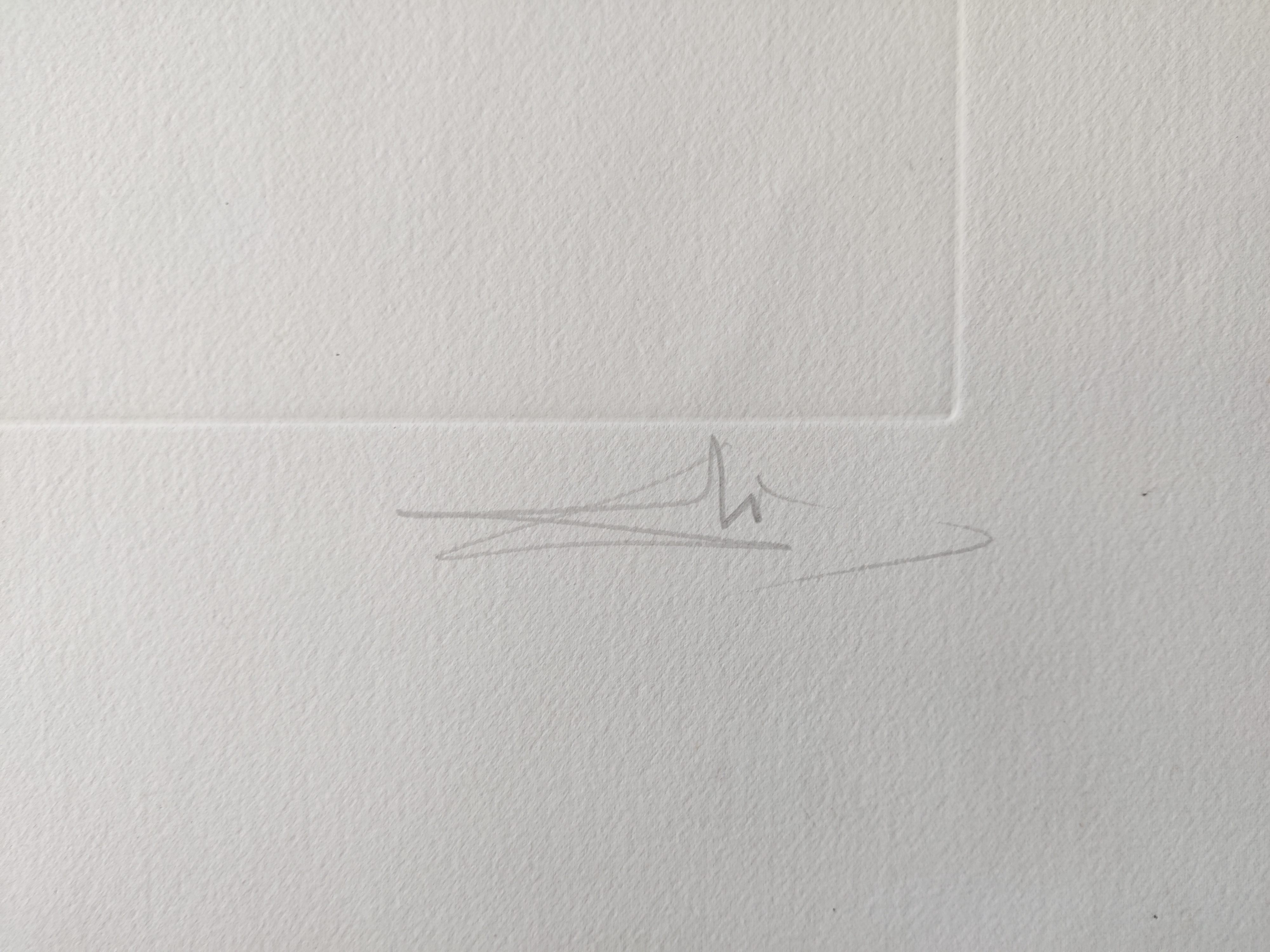 A drawing of a yellow flower on a white background.